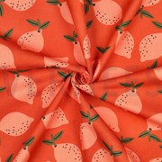 TOILE DÉCORATION FRUIT ORANGE (thumbnail) #3