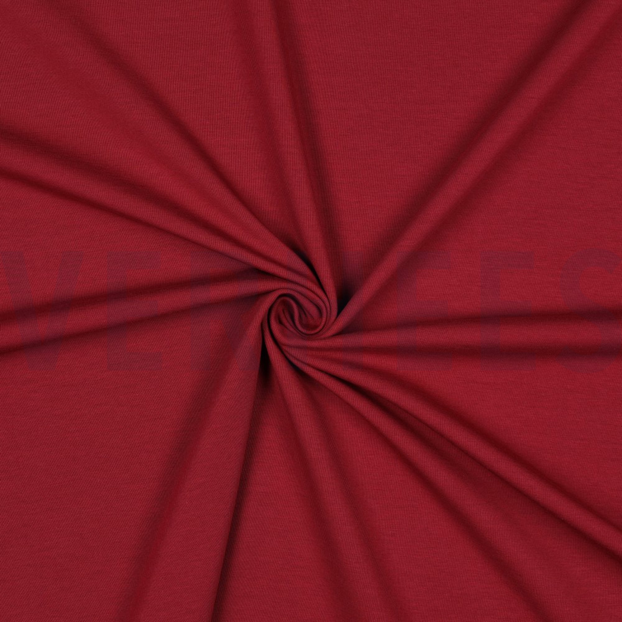 JERSEY BEERE (high resolution) #3