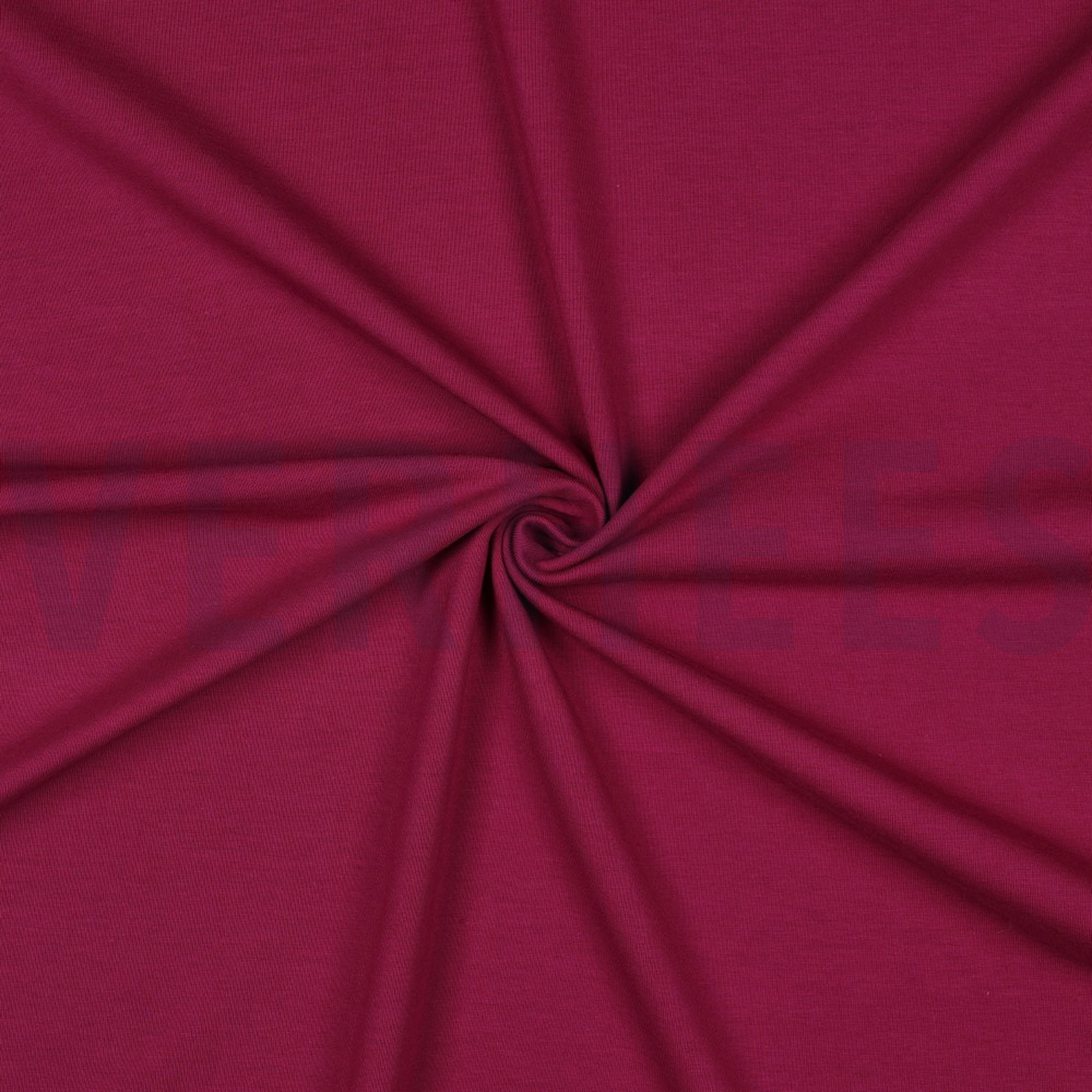 JERSEY CYCLAAM (high resolution) #3