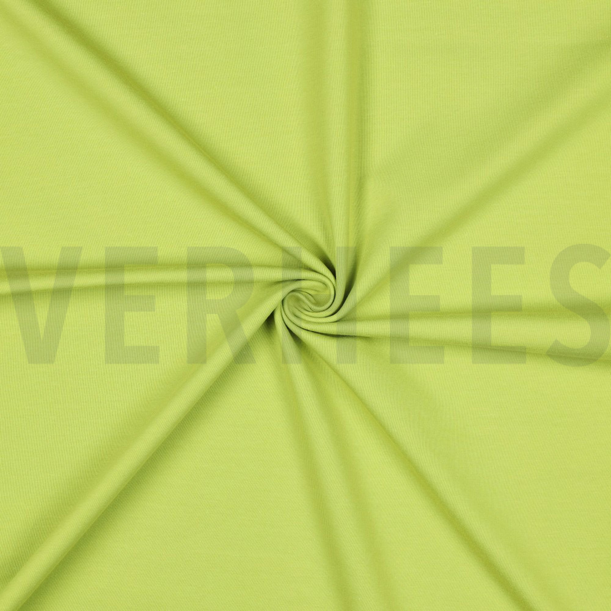 JERSEY OLIVE (high resolution) #3