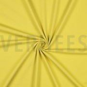 JERSEY CURRY (thumbnail) #3