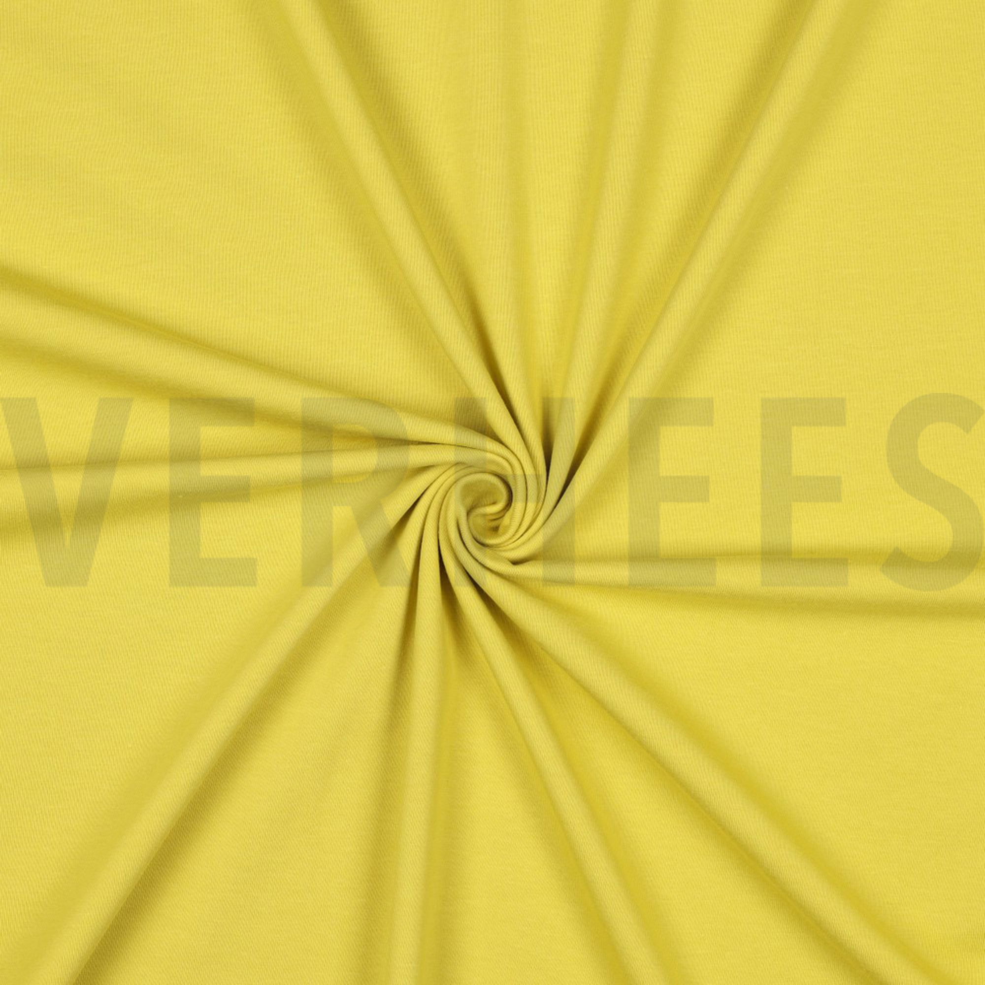 JERSEY CURRY (high resolution) #3