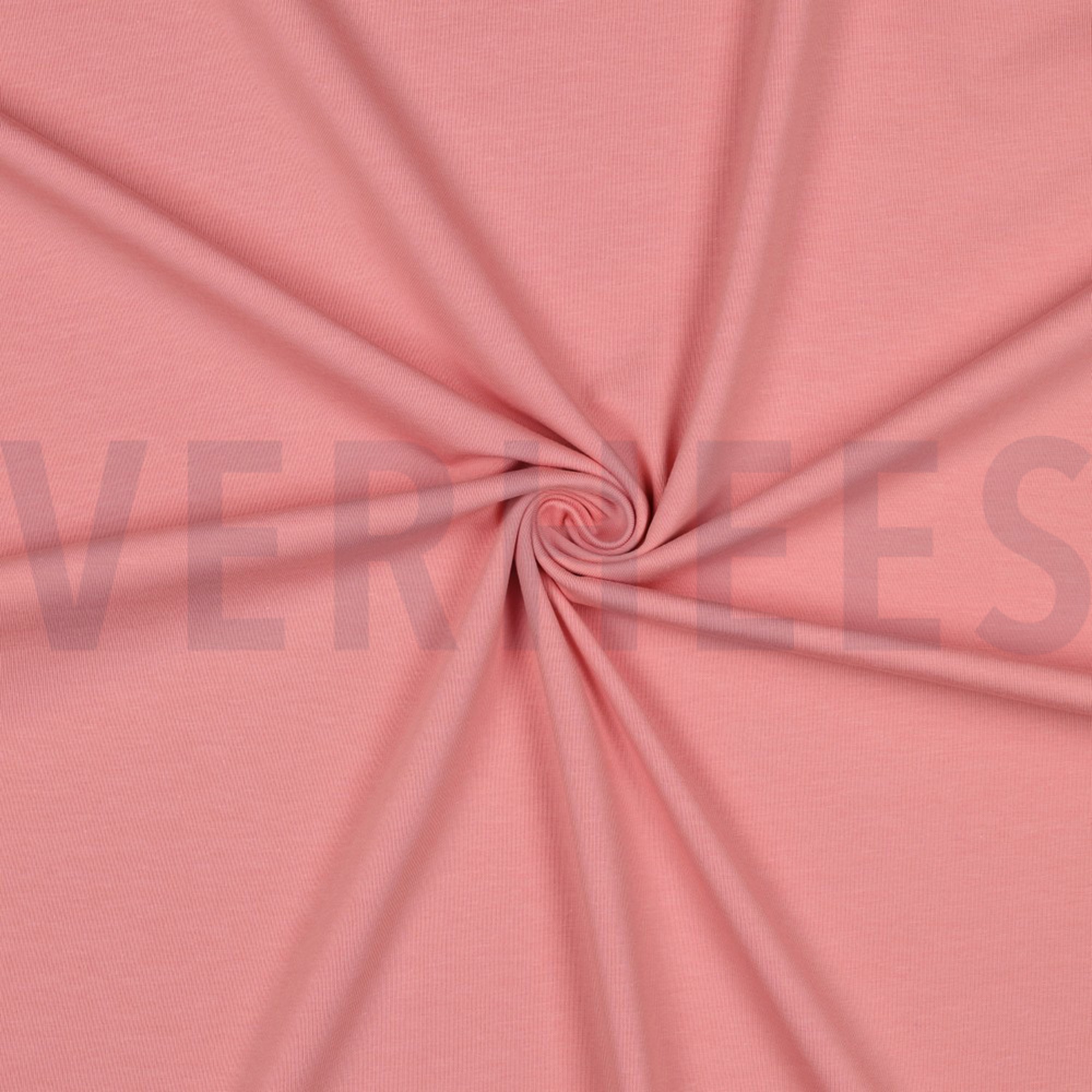 JERSEY OLD ROSE (high resolution) #3