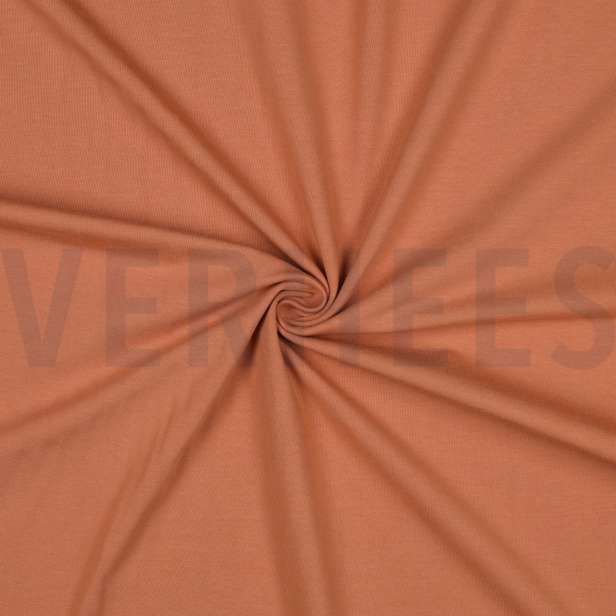 JERSEY LACHS (high resolution) #3