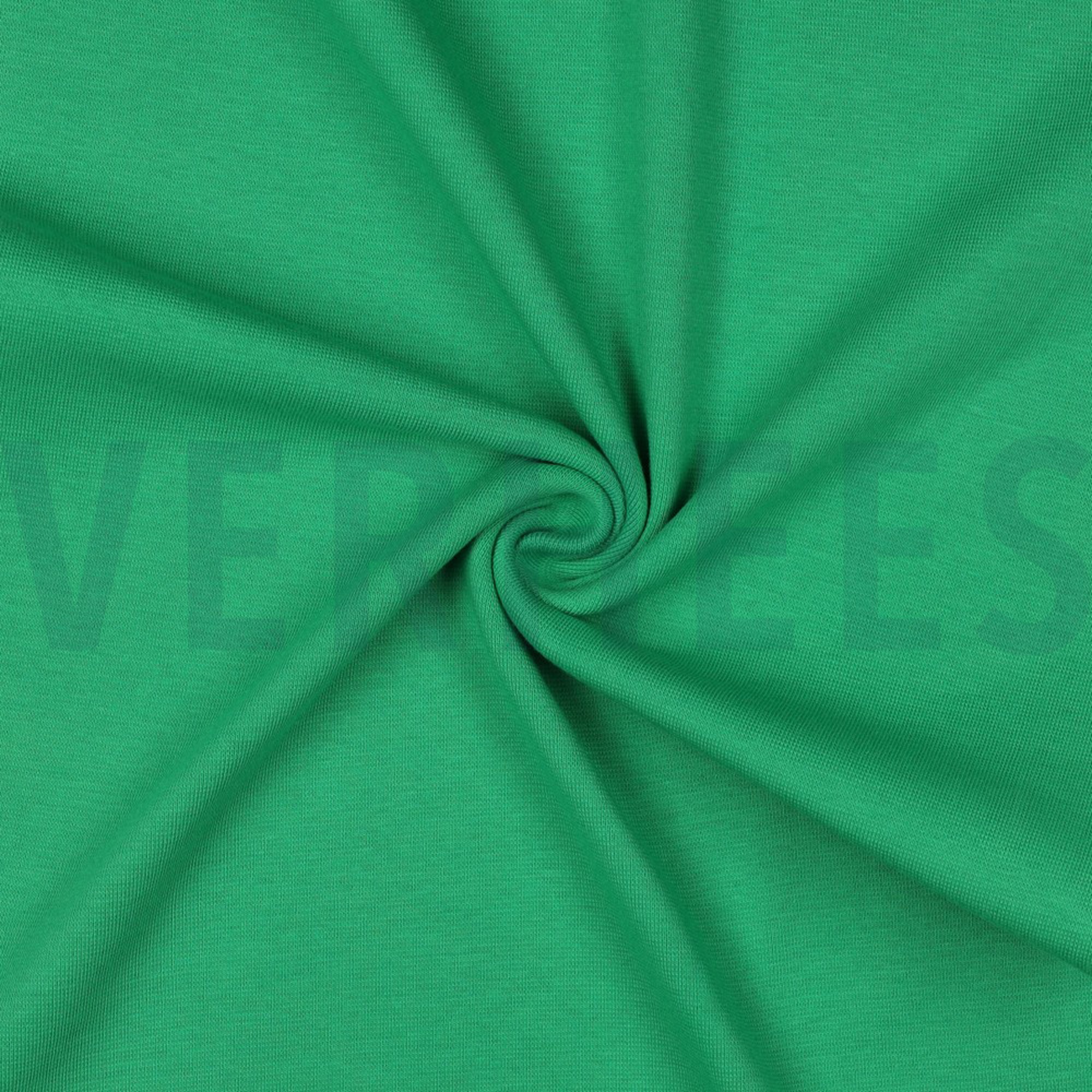 BÜNDCHEN APFELGRÜN (high resolution) #3