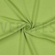 BÜNDCHEN OLIVE (thumbnail) #3