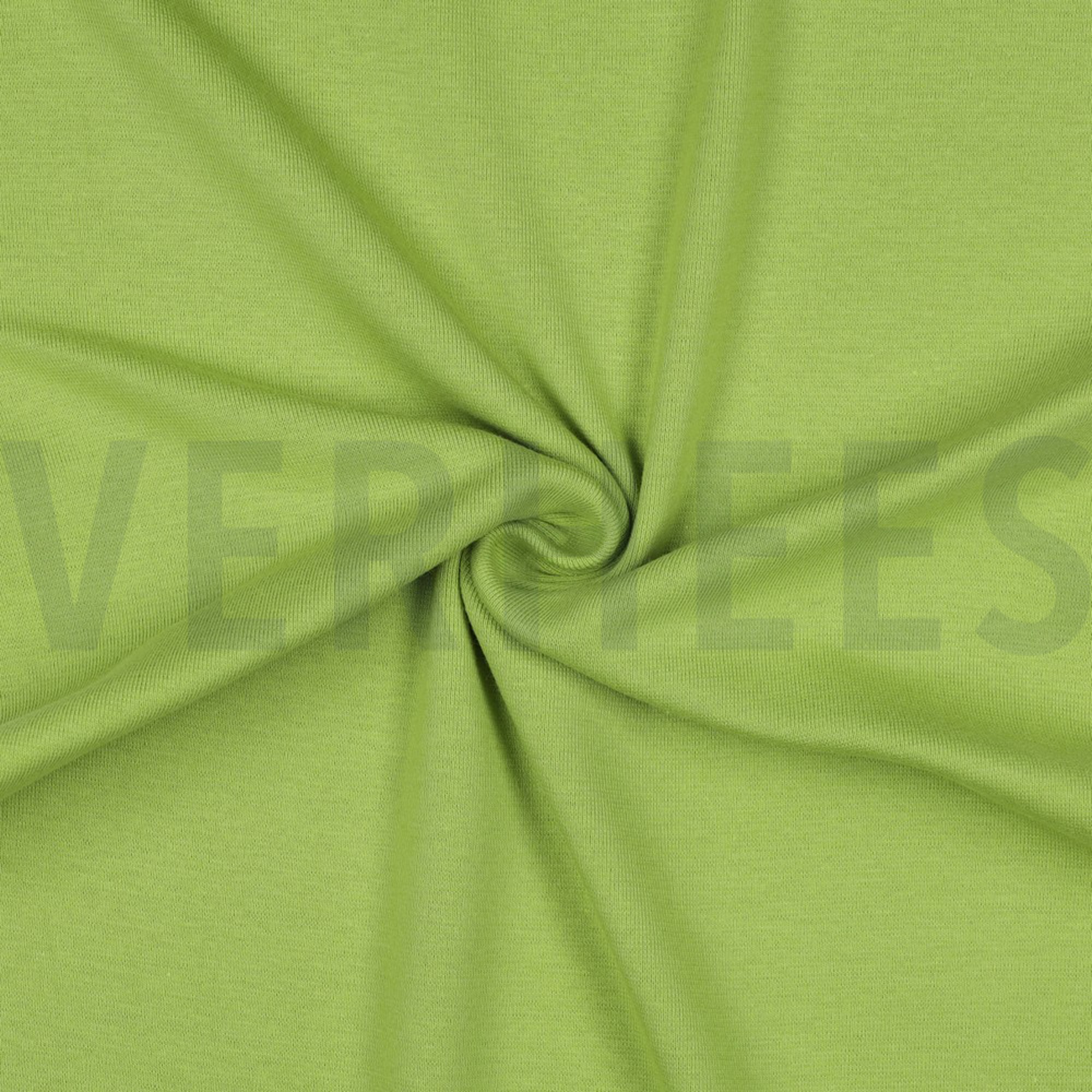 BÜNDCHEN OLIVE (high resolution) #3