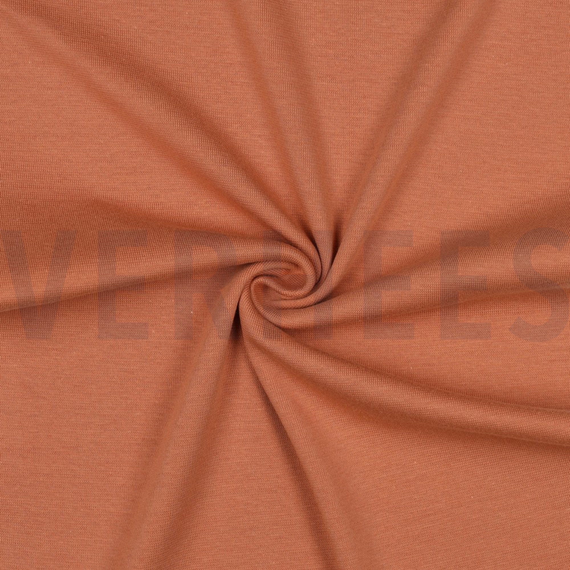 BÜNDCHEN LACHS (high resolution) #3