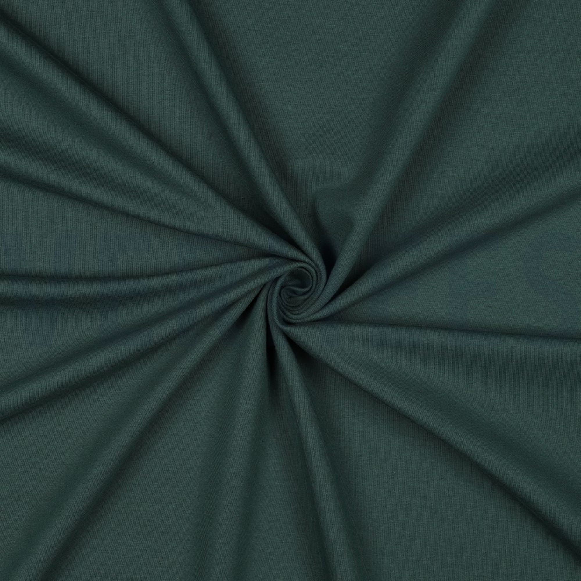 FRENCH TERRY GOTS VERT FORÊT (high resolution) #3