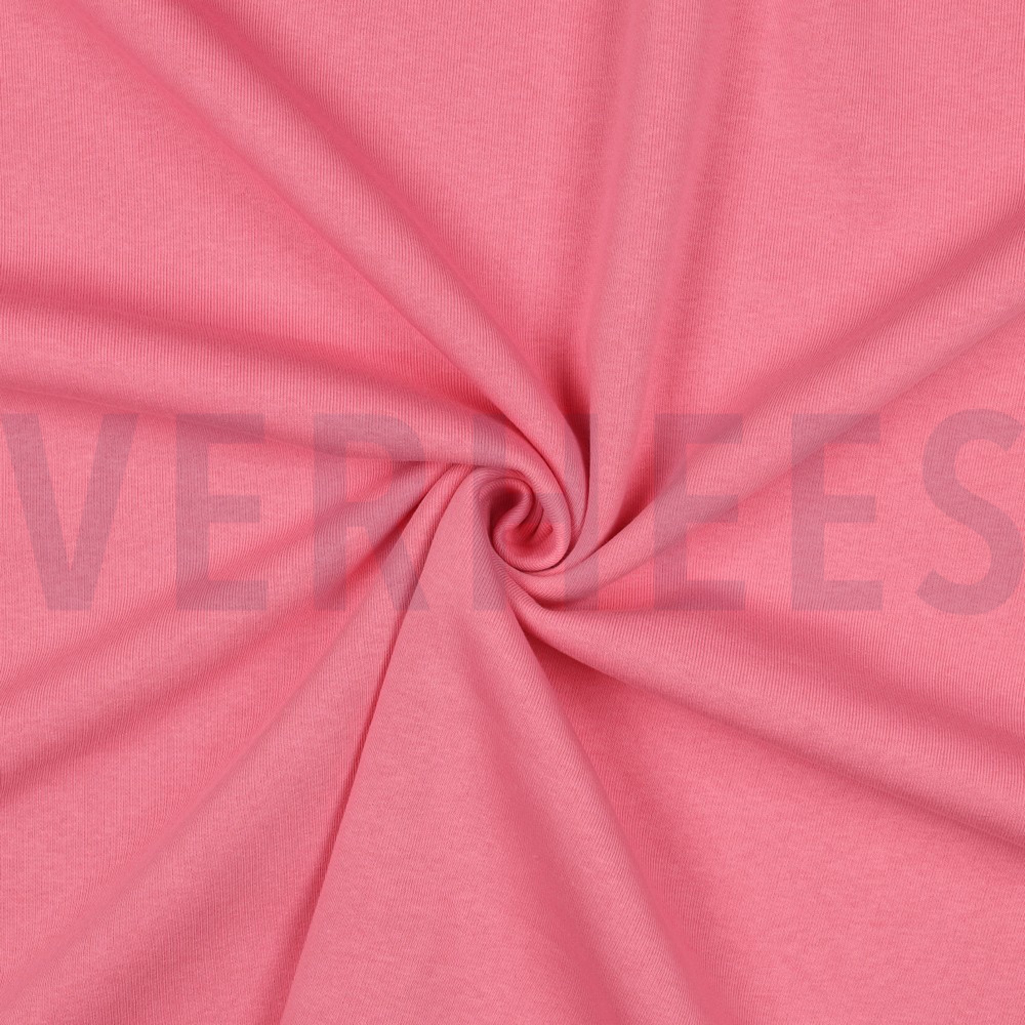 JOGGING ZARTROSA (high resolution) #3