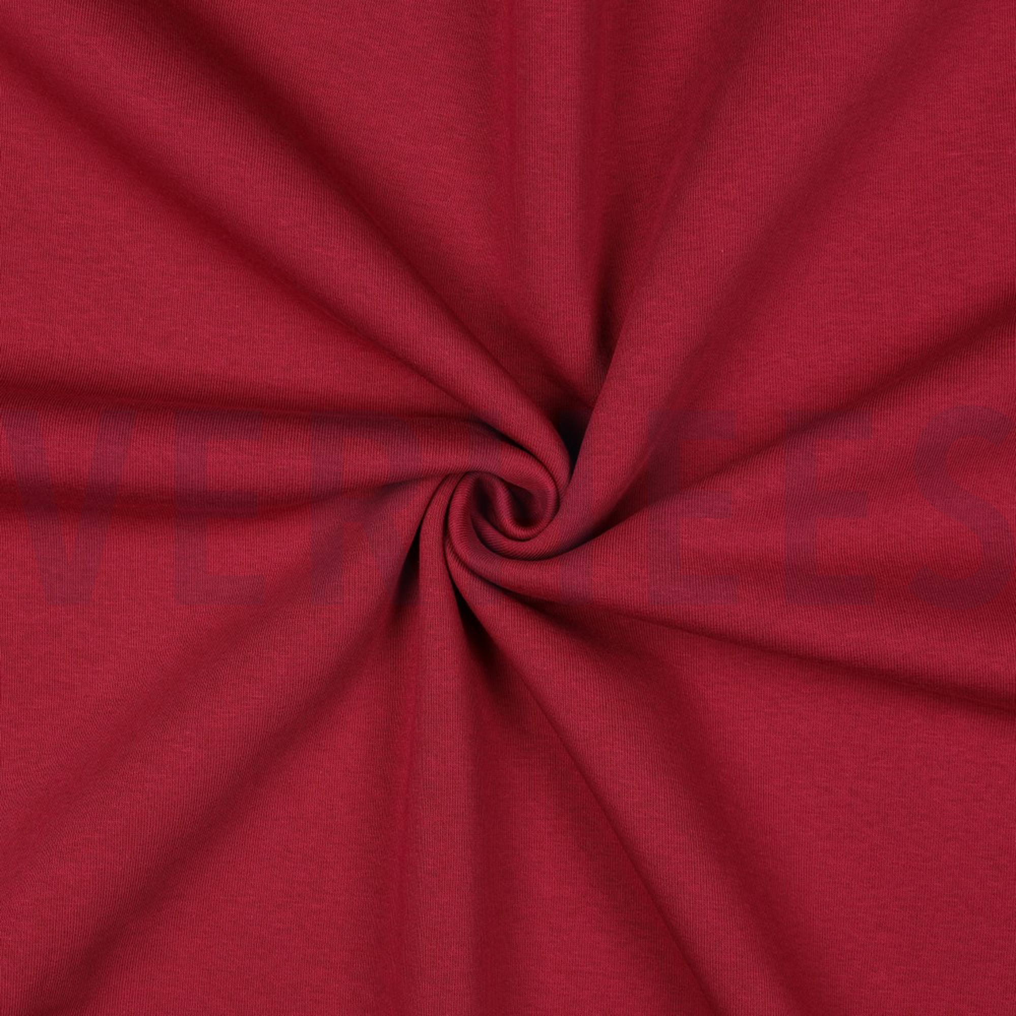 JOGGING BEERE (high resolution) #3