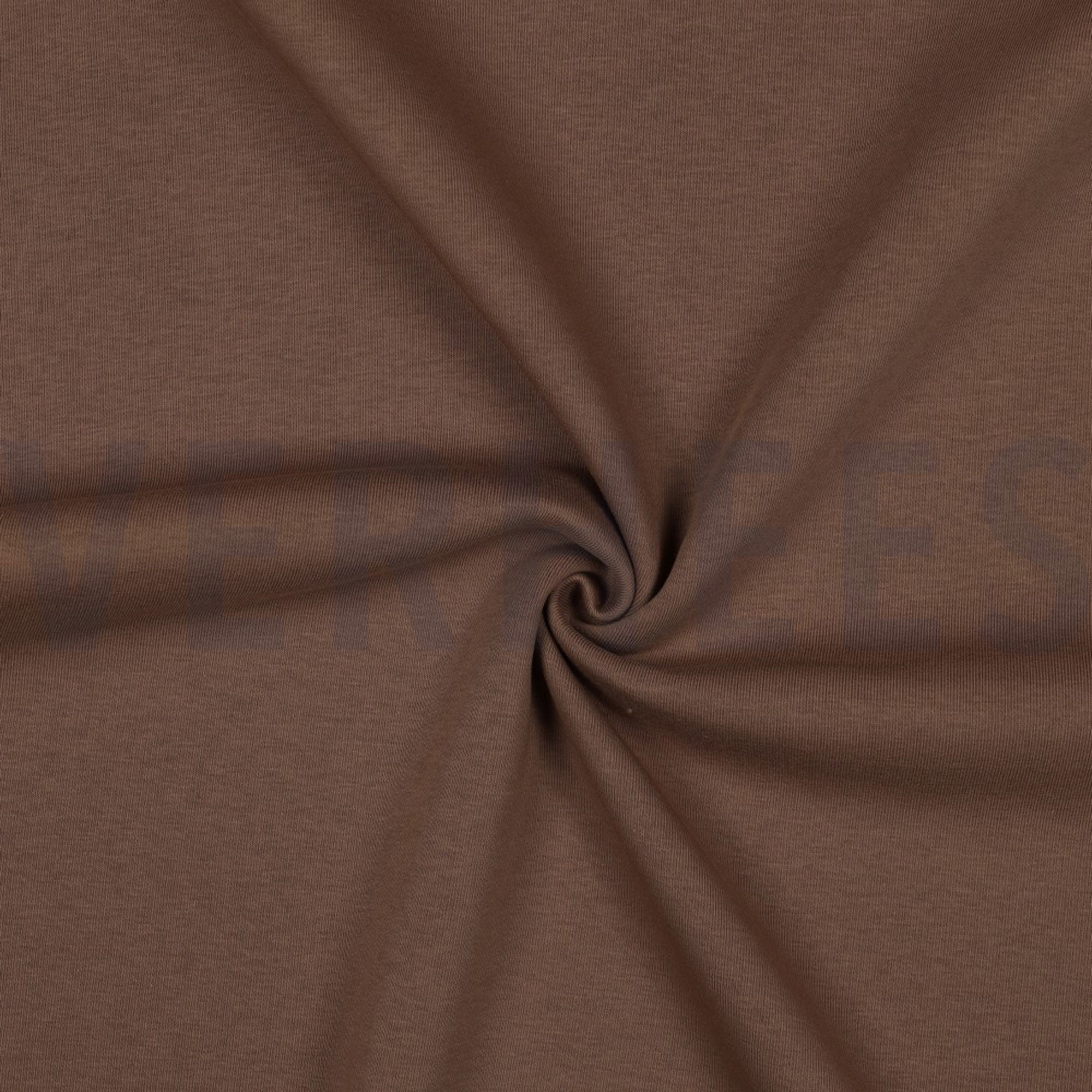 JOGGING CAMEL (high resolution) #3