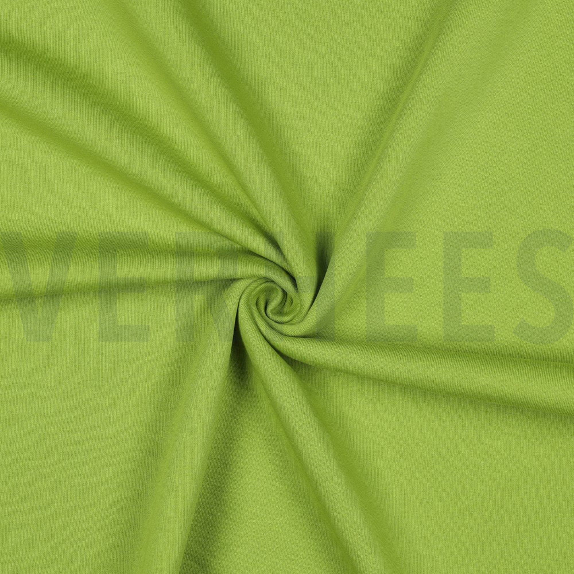 JOGGING OLIVE (high resolution) #3