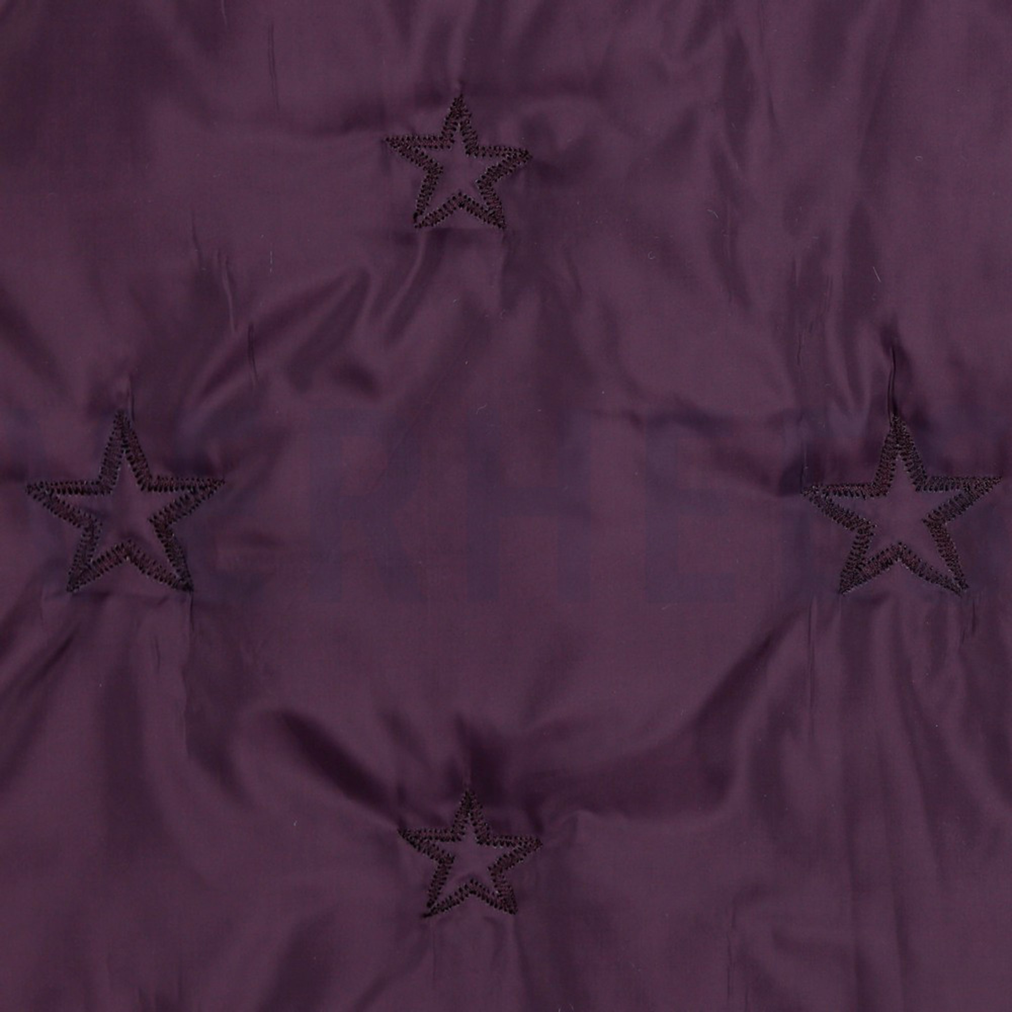 STEPPSTOFF STERN BEERE (high resolution) #3