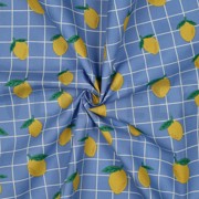 COTON ENDUIT FRUIT BLEU (thumbnail) #3