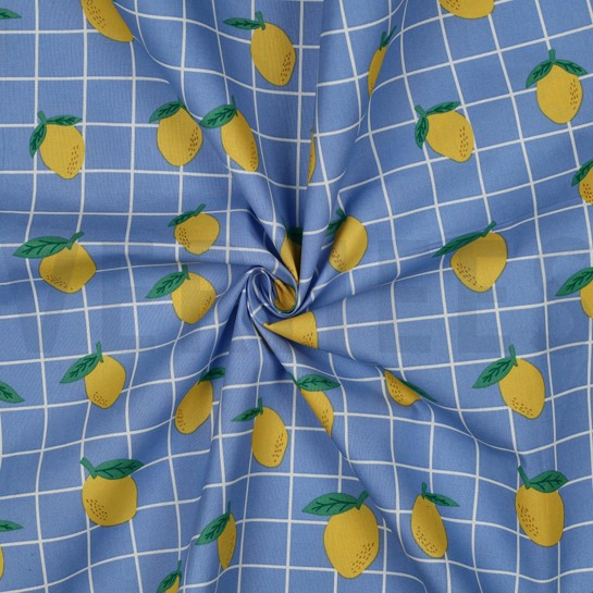 COTON ENDUIT FRUIT BLEU #7