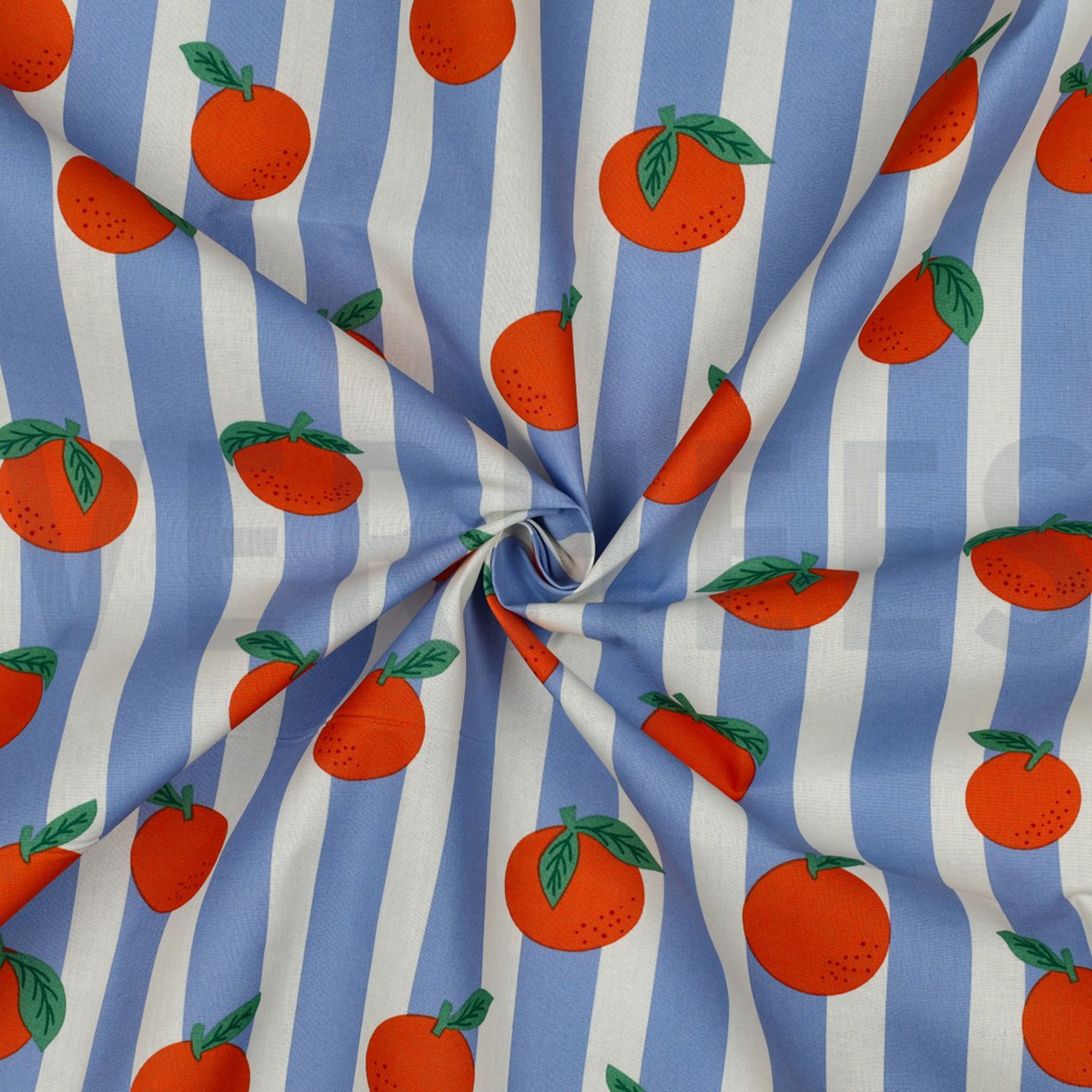 COTON ENDUIT FRUIT BLEU (high resolution) #3