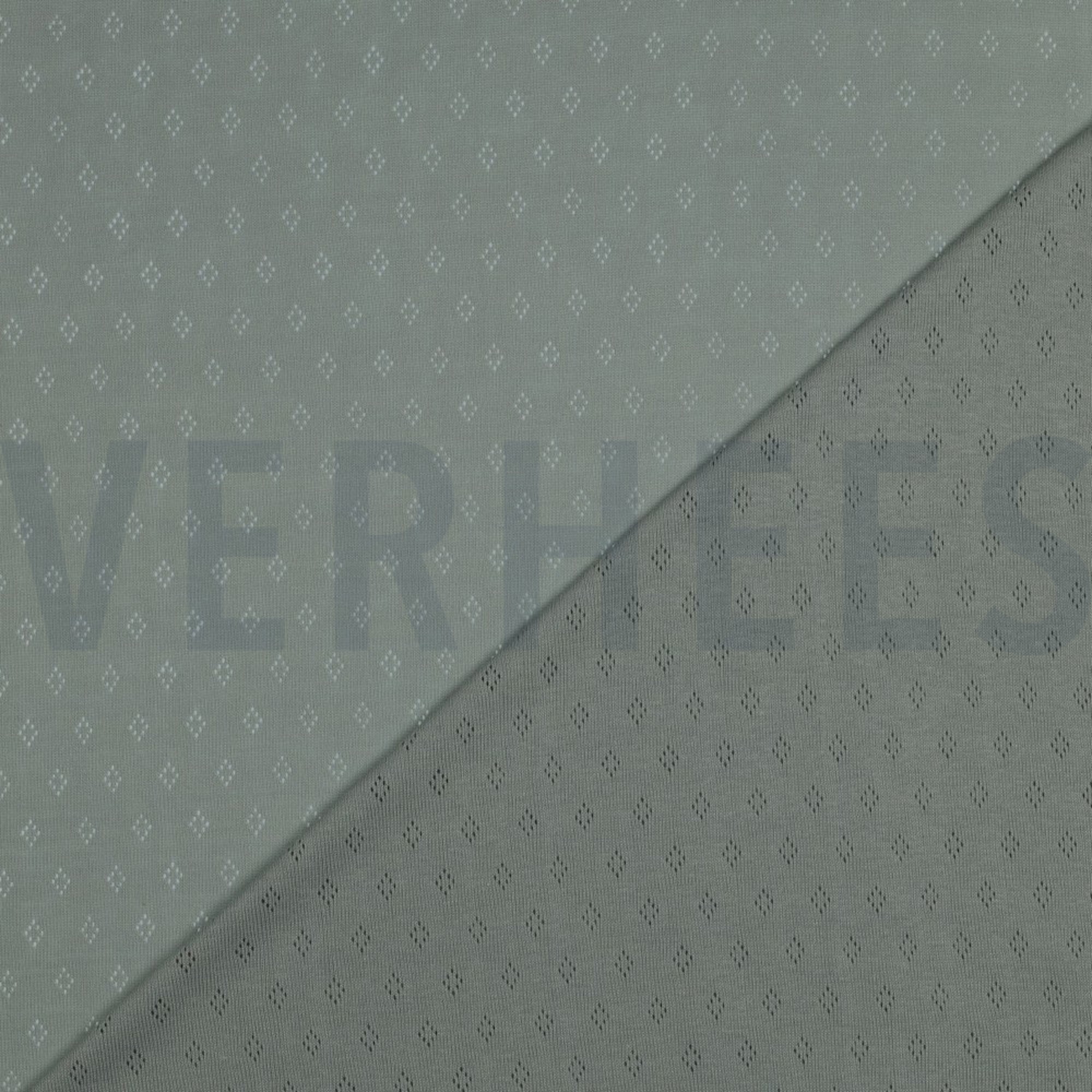 POINTOILLE MINT (high resolution) #4