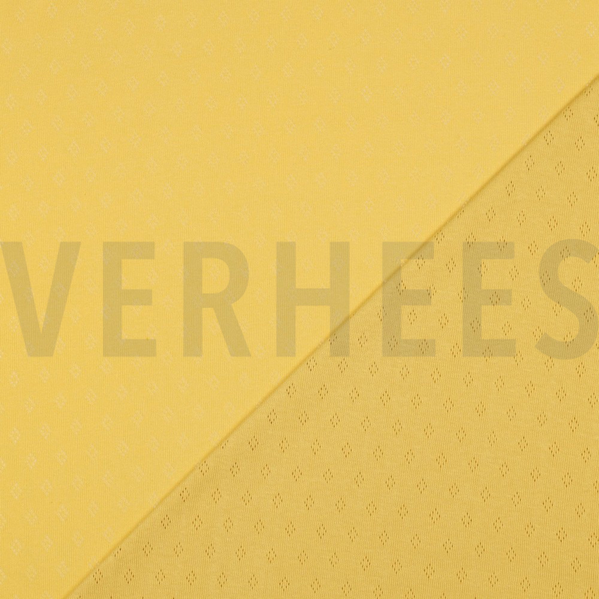 POINTOILLE SOFT YELLOW (high resolution) #4