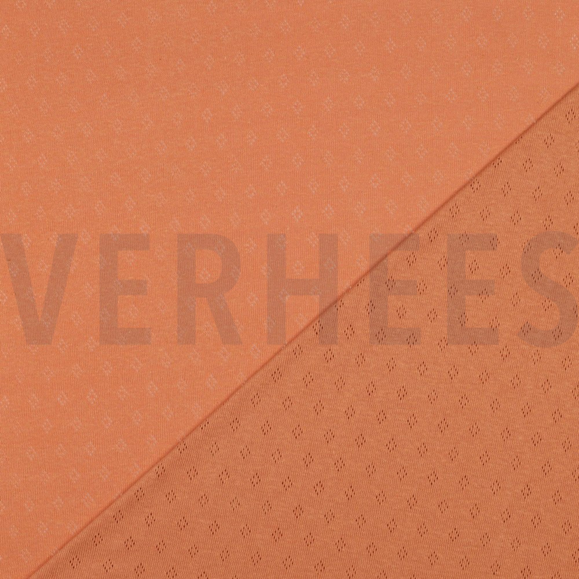 POINTOILLE DARK SALMON (high resolution) #4