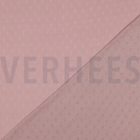 POINTOILLE OLD ROSE #7