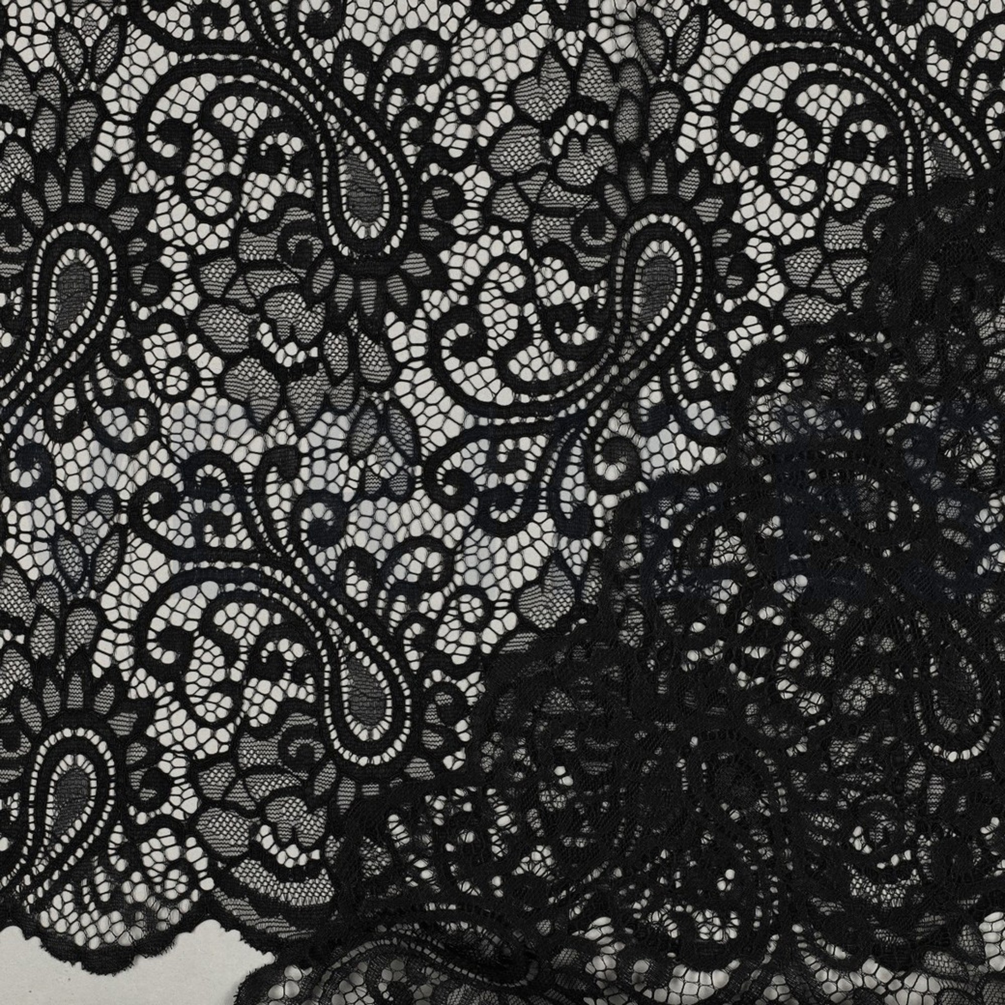 LACE TWO-SIDE SCALLOP BLACK (high resolution) #4