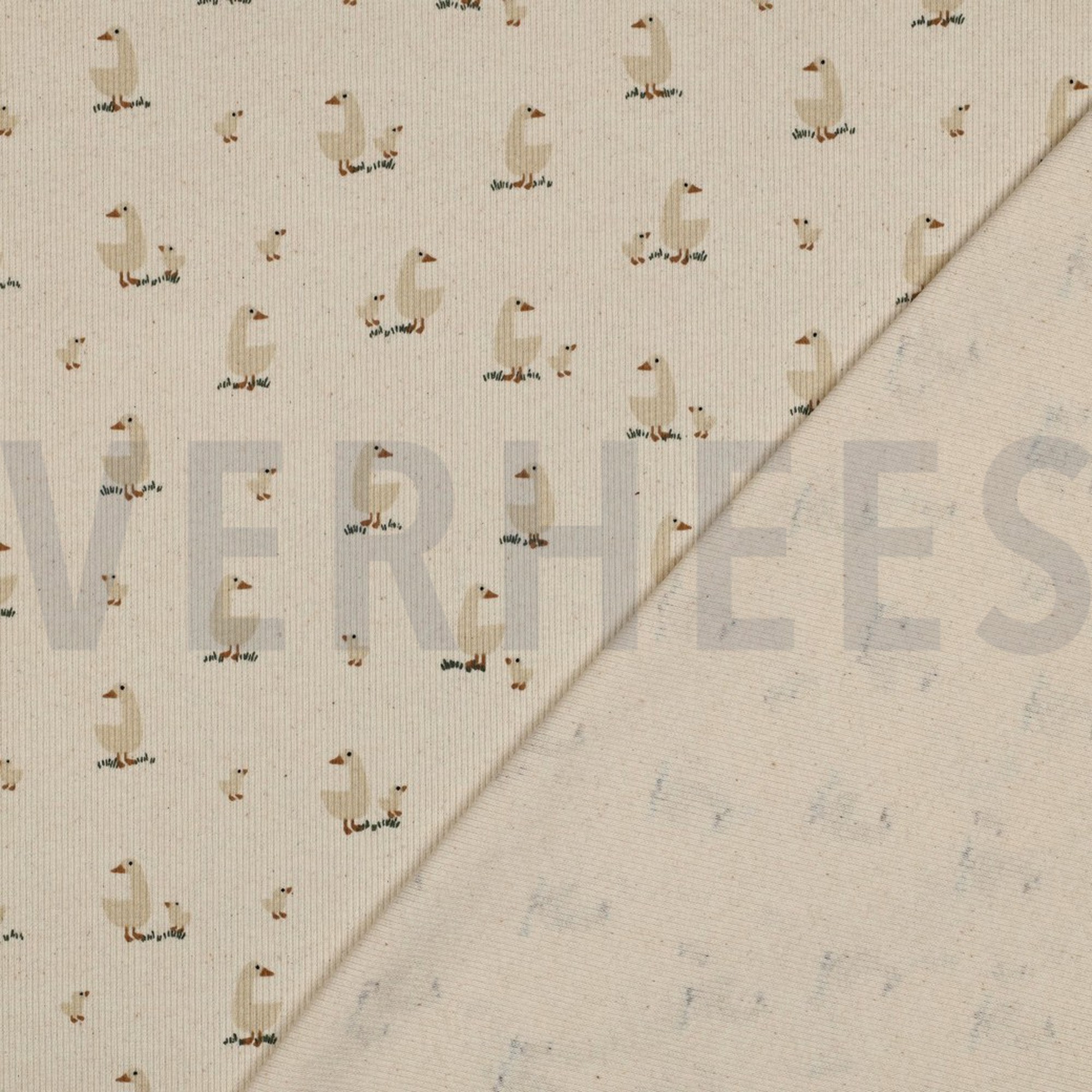 RIB JERSEY GOTS NATUREL EENDEN NATUREL (high resolution) #4