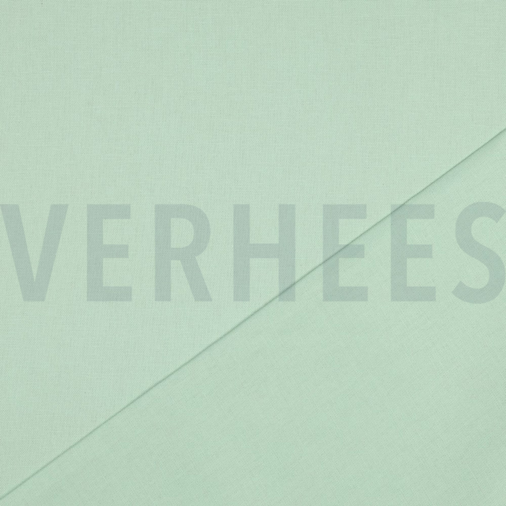 CANVAS MINT (high resolution) #4