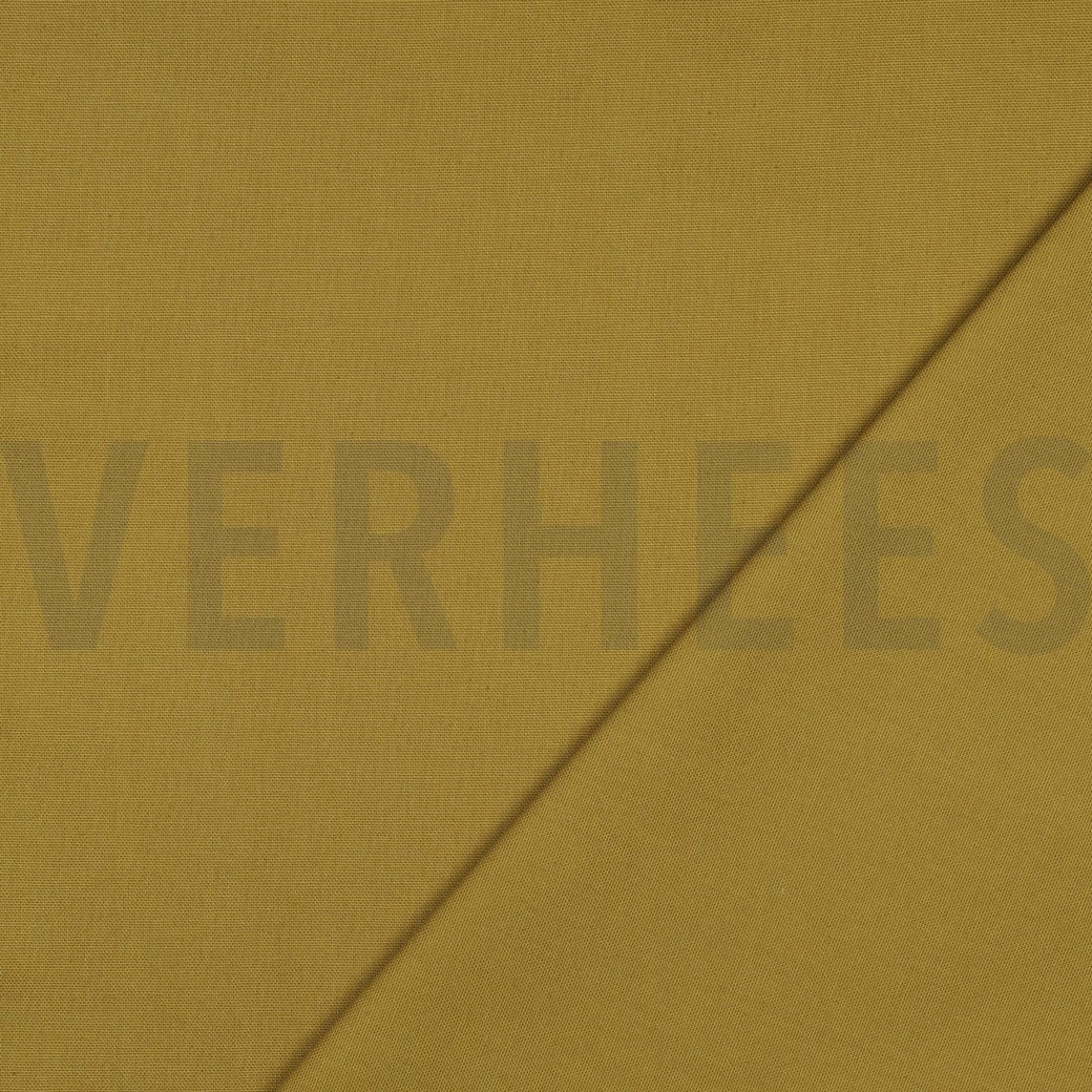 CANVAS CURRY #7