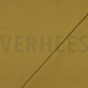 CANVAS CURRY (thumbnail) #4