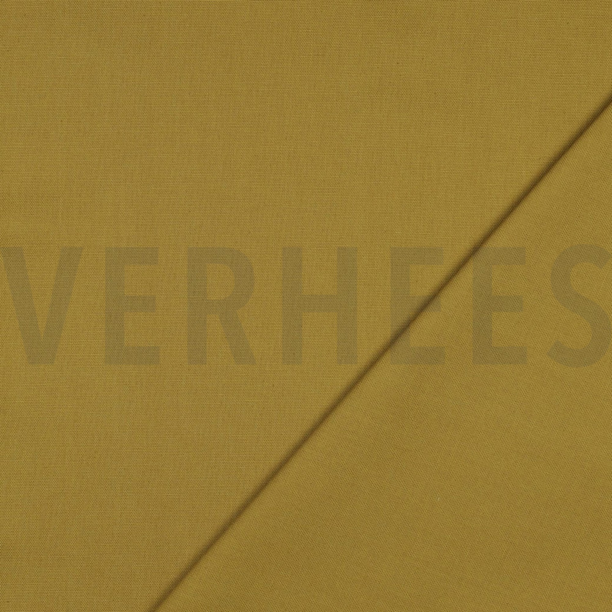 CANVAS CURRY (high resolution) #4