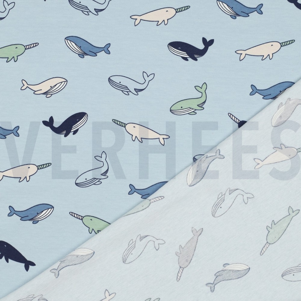 JERSEY BALEINES BLEU CLAIR #7