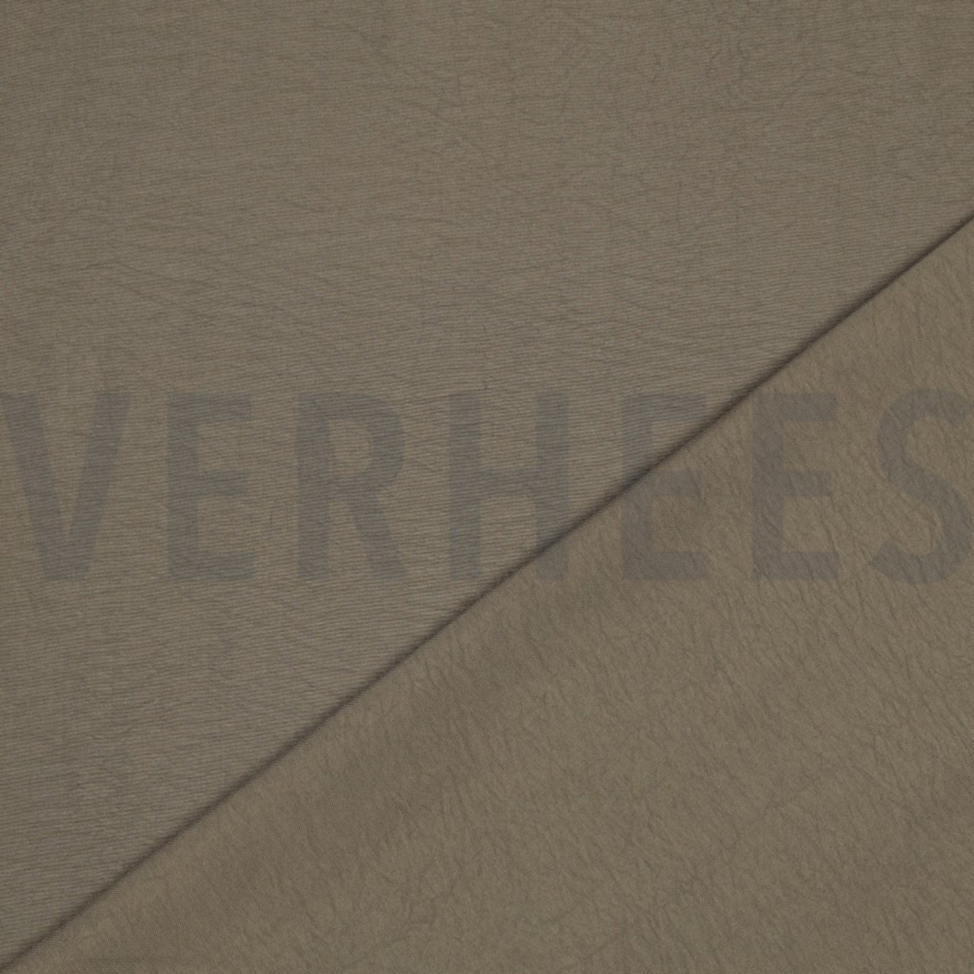 PAPILLON BRAUN (high resolution) #4