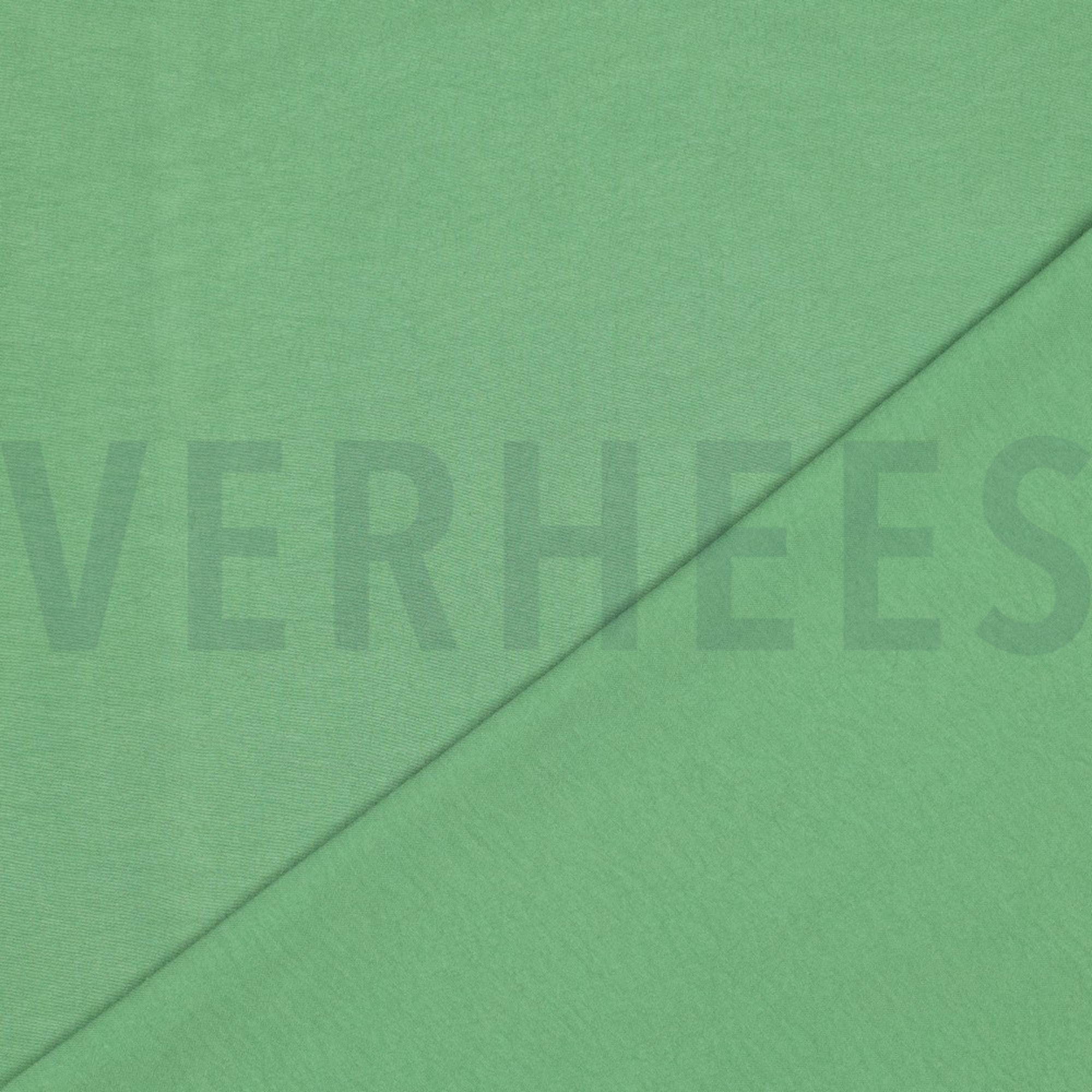 PAPILLON GROEN (high resolution) #4