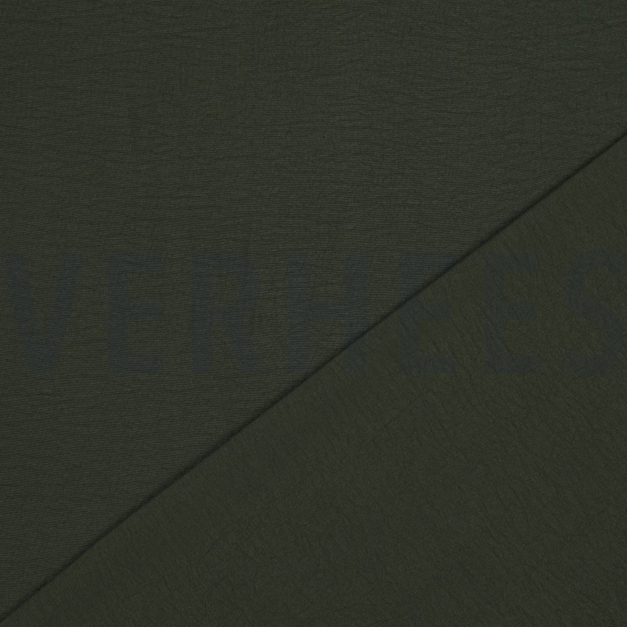 PAPILLON DONKERGROEN (high resolution) #4