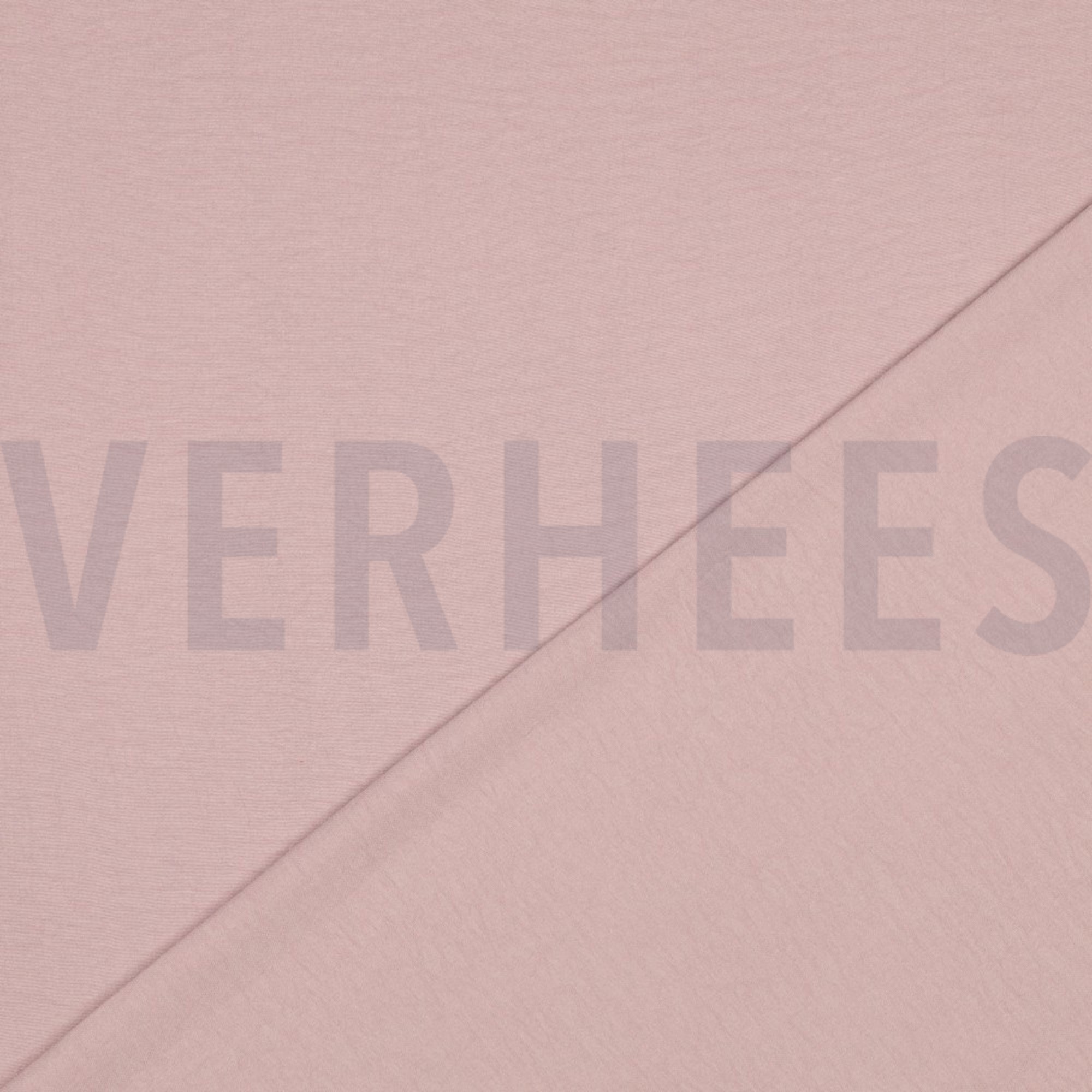 PAPILLON ALTROSA (high resolution) #4