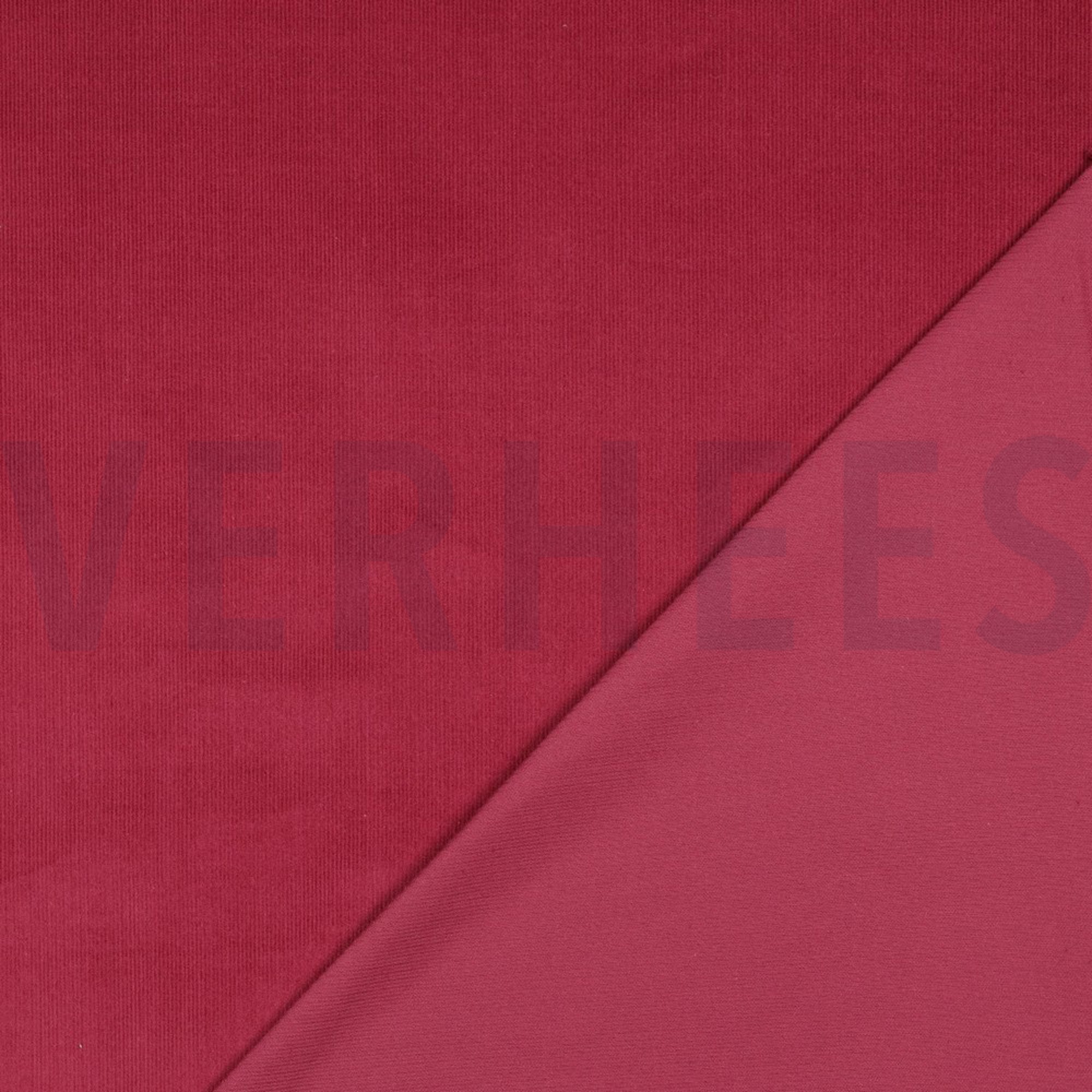 CORDUROY BABYRIB 21W BORDEAUX (high resolution) #4