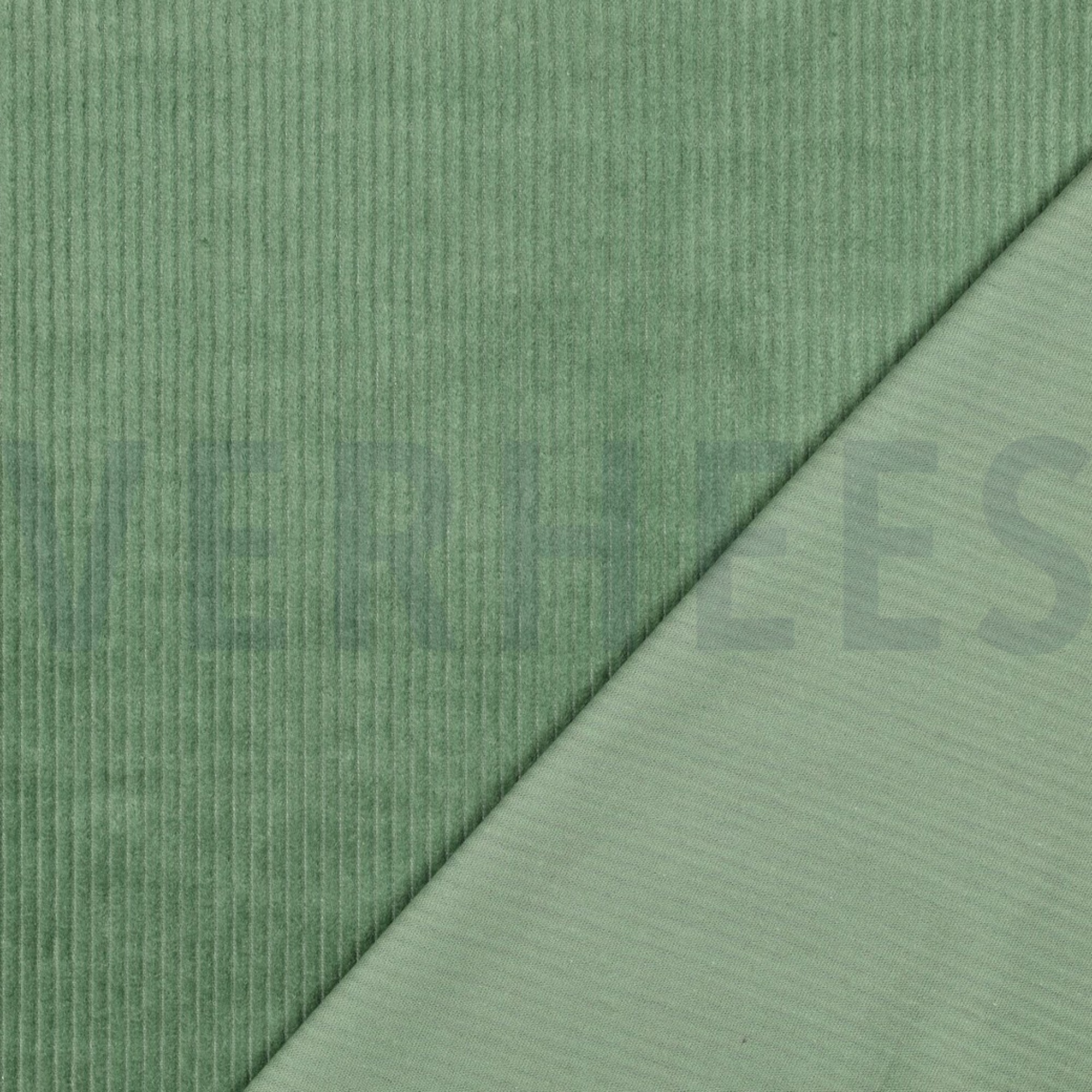 WASHED CORDUROY 4.5W BASIL (high resolution) #4