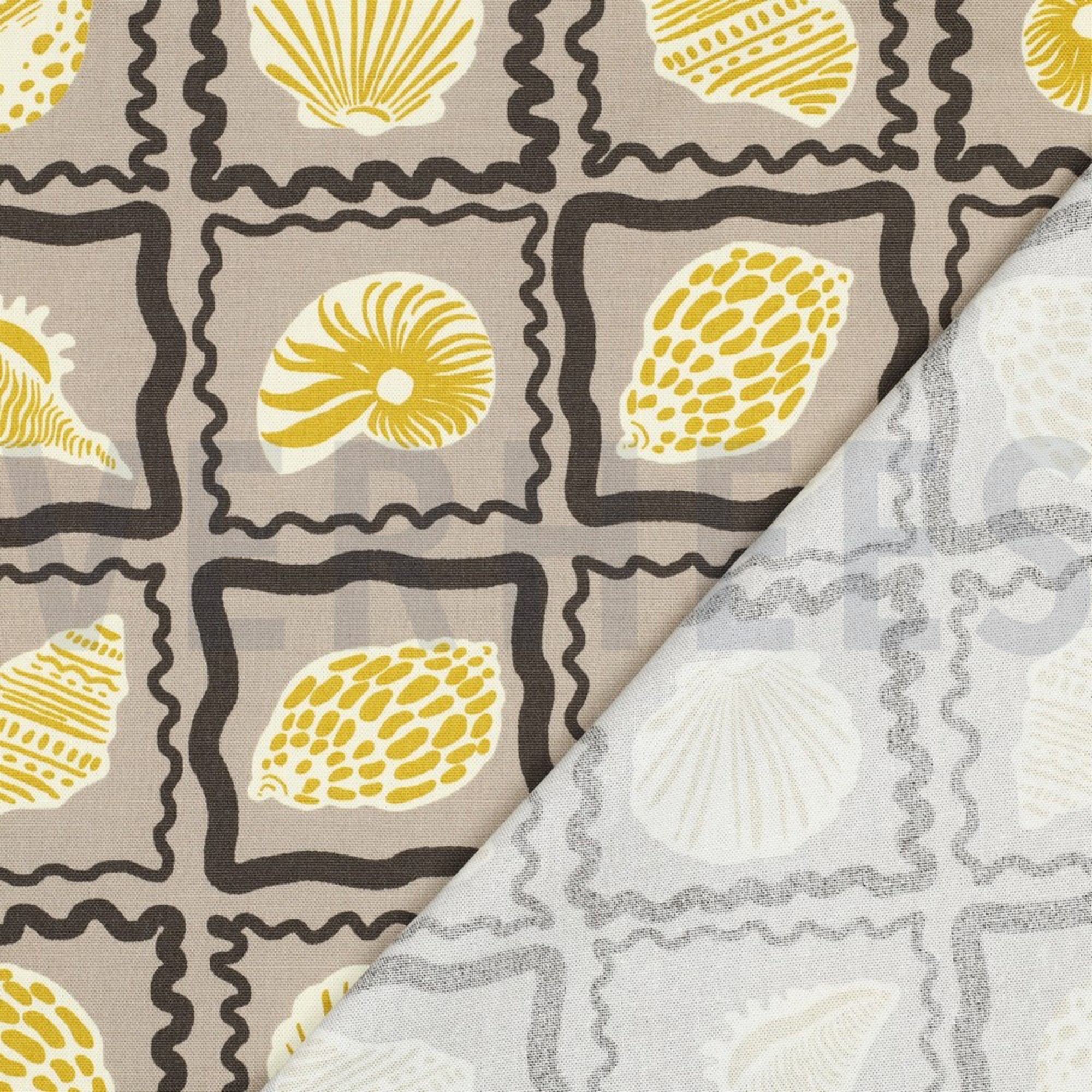 CANVAS SHELLS SAND (high resolution) #4