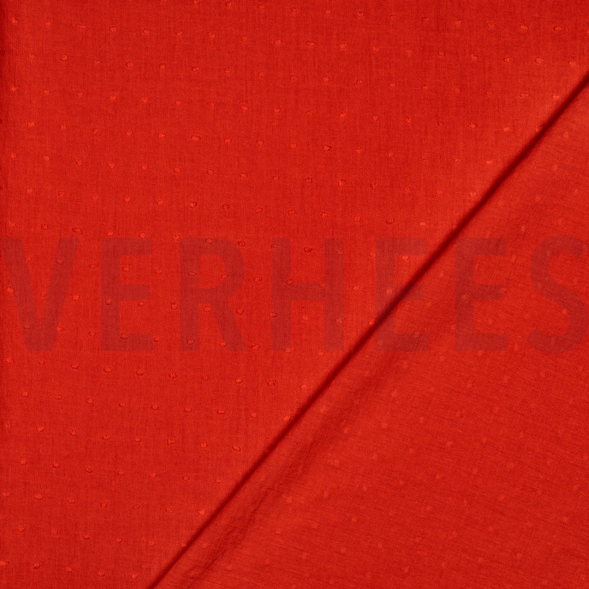 DOTTY ROOD (high resolution) #4