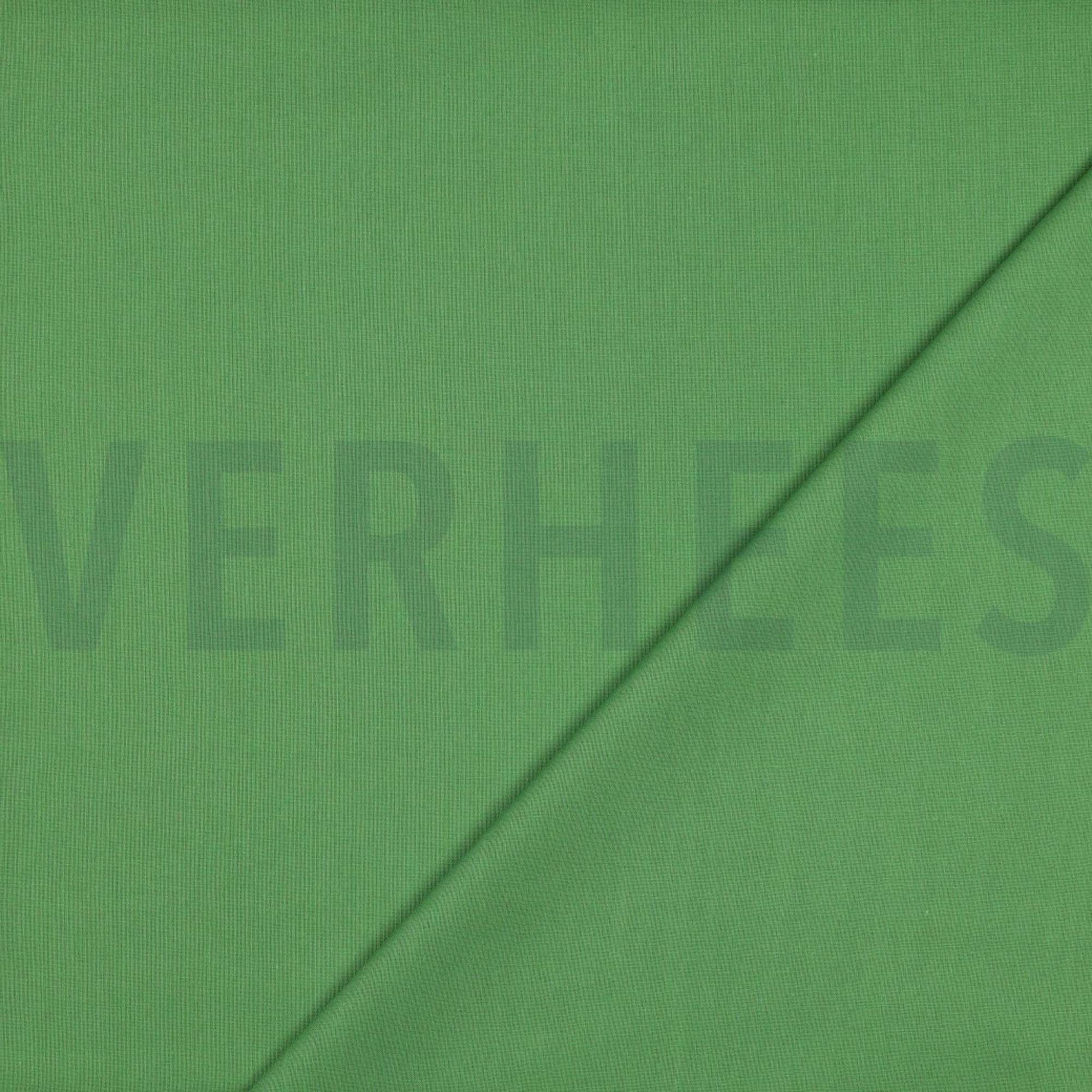 COTTON POPLIN LIGHT GREEN (high resolution) #4