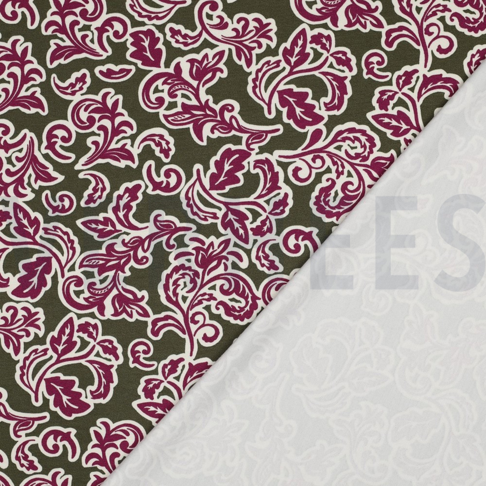 PUNTA DI ROMA FEUILLES VERT ARMÉE (high resolution) #4