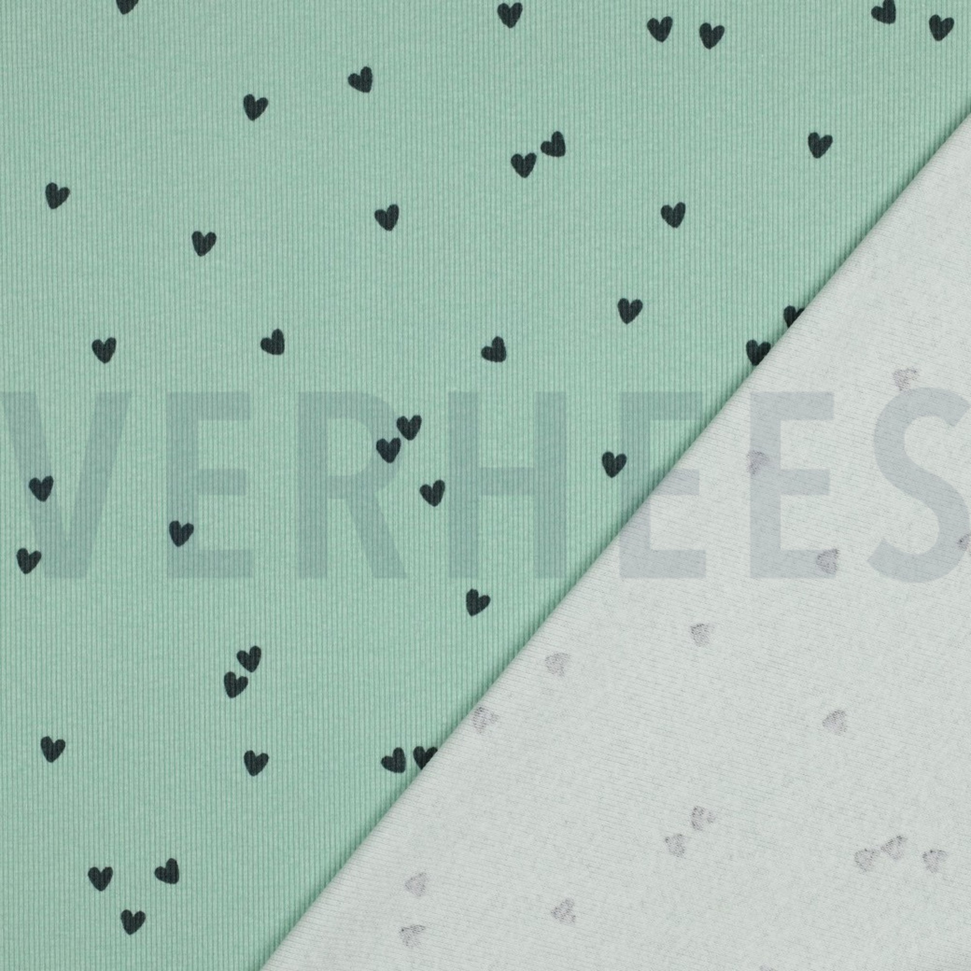 JERSEY CÔTELÉ COEURS SAUGE (high resolution) #4