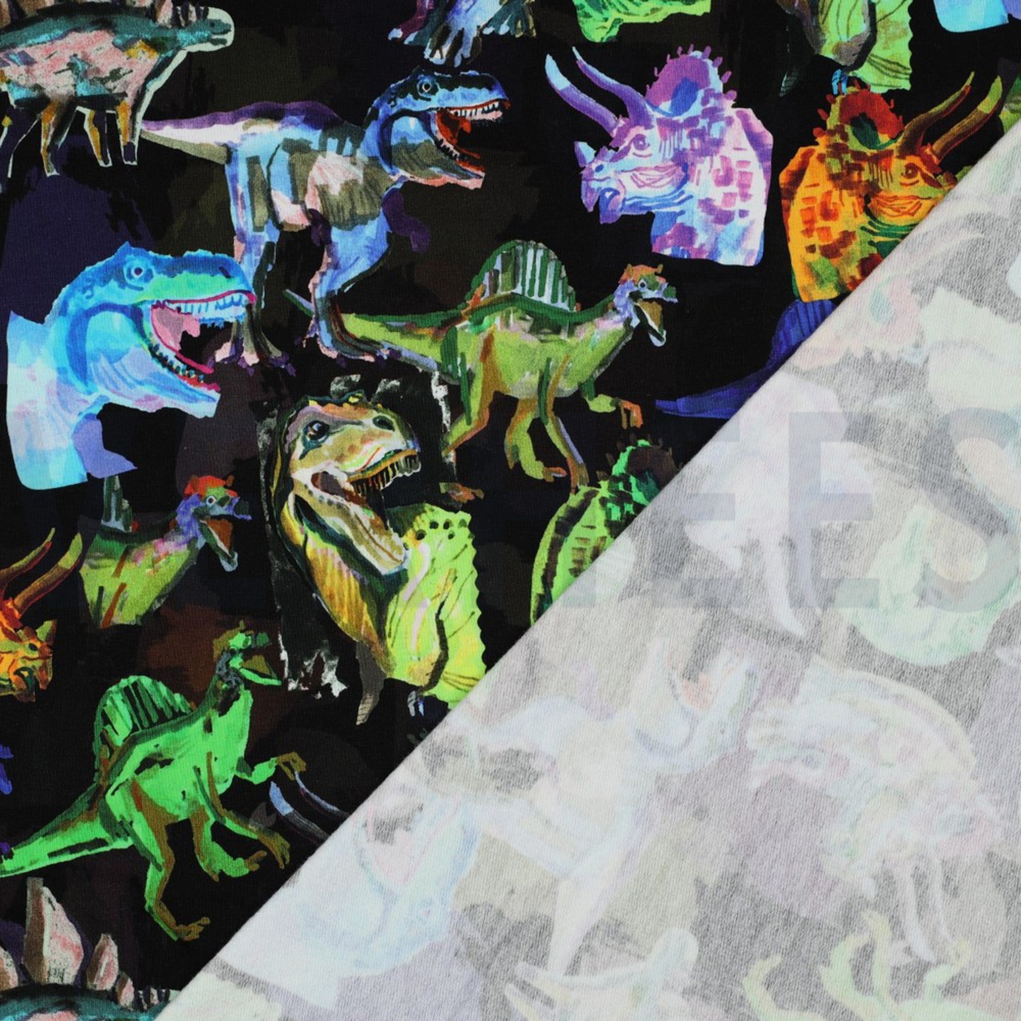 SWEAT DIGITAL DINOSAURS BLACK (high resolution) #4