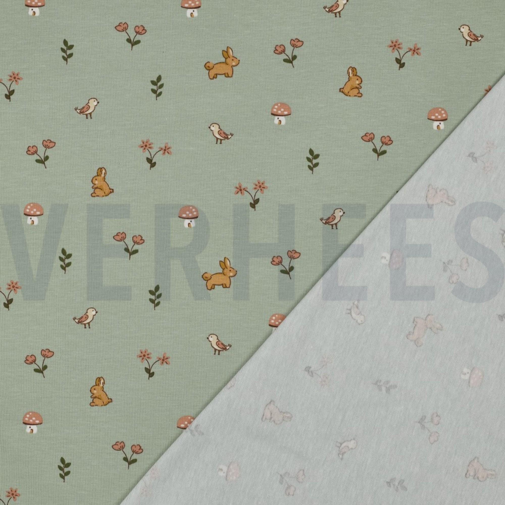 JERSEY GOTS KANINCHEN SALBEI (high resolution) #4