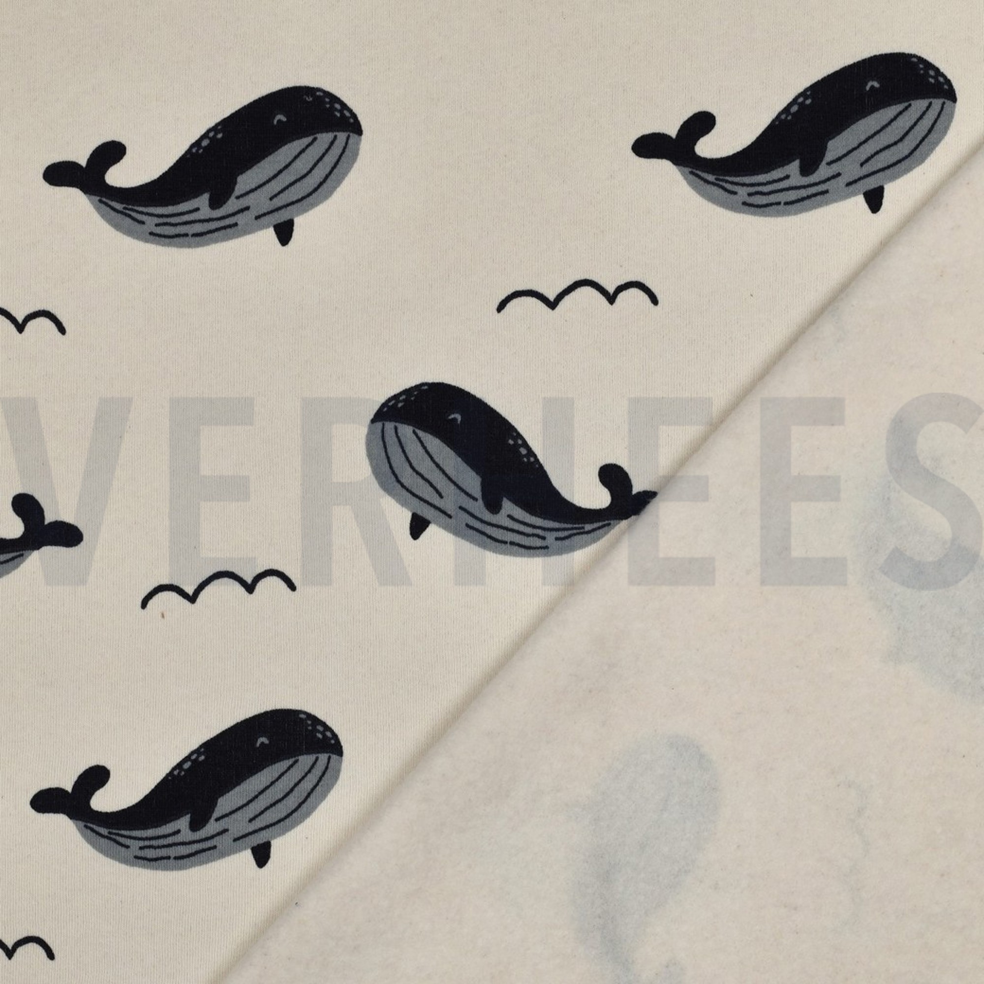 JOGGING BALEINES ÉCRU (high resolution) #4