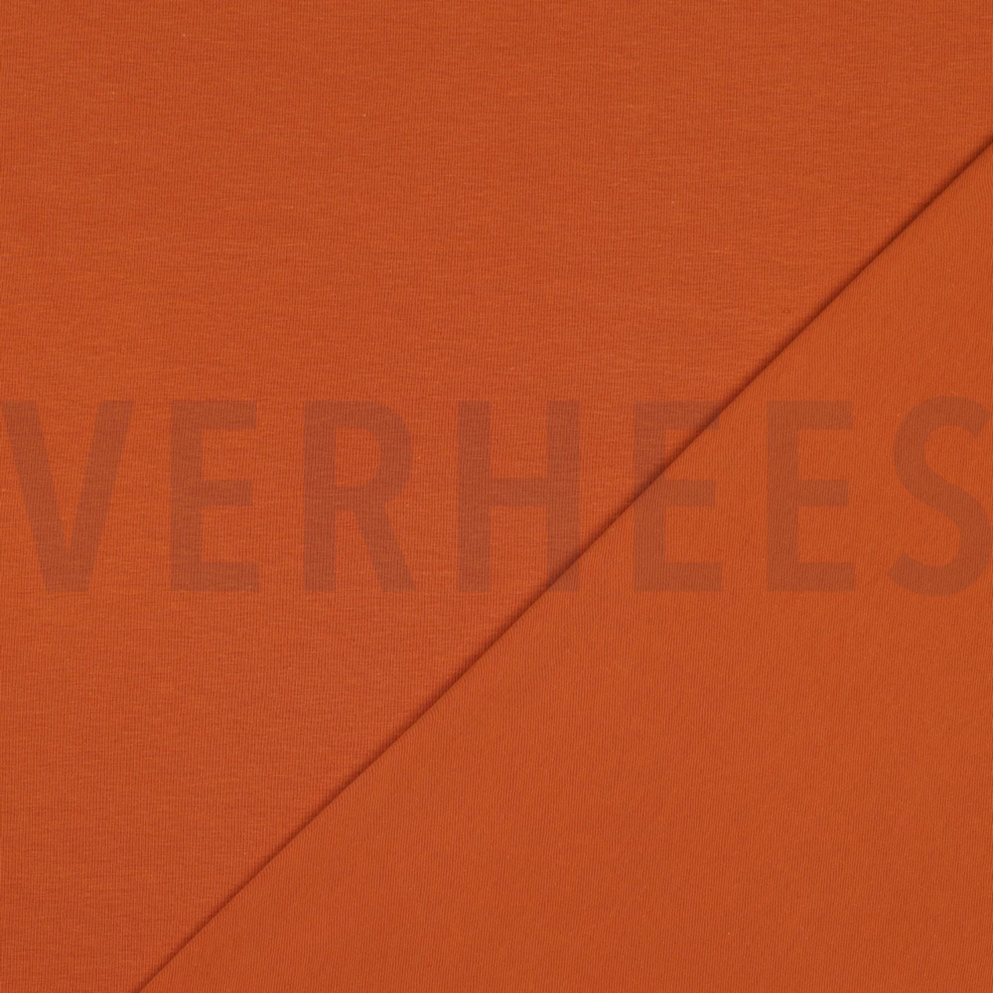 JERSEY GOTS BERNSTEIN (high resolution) #4