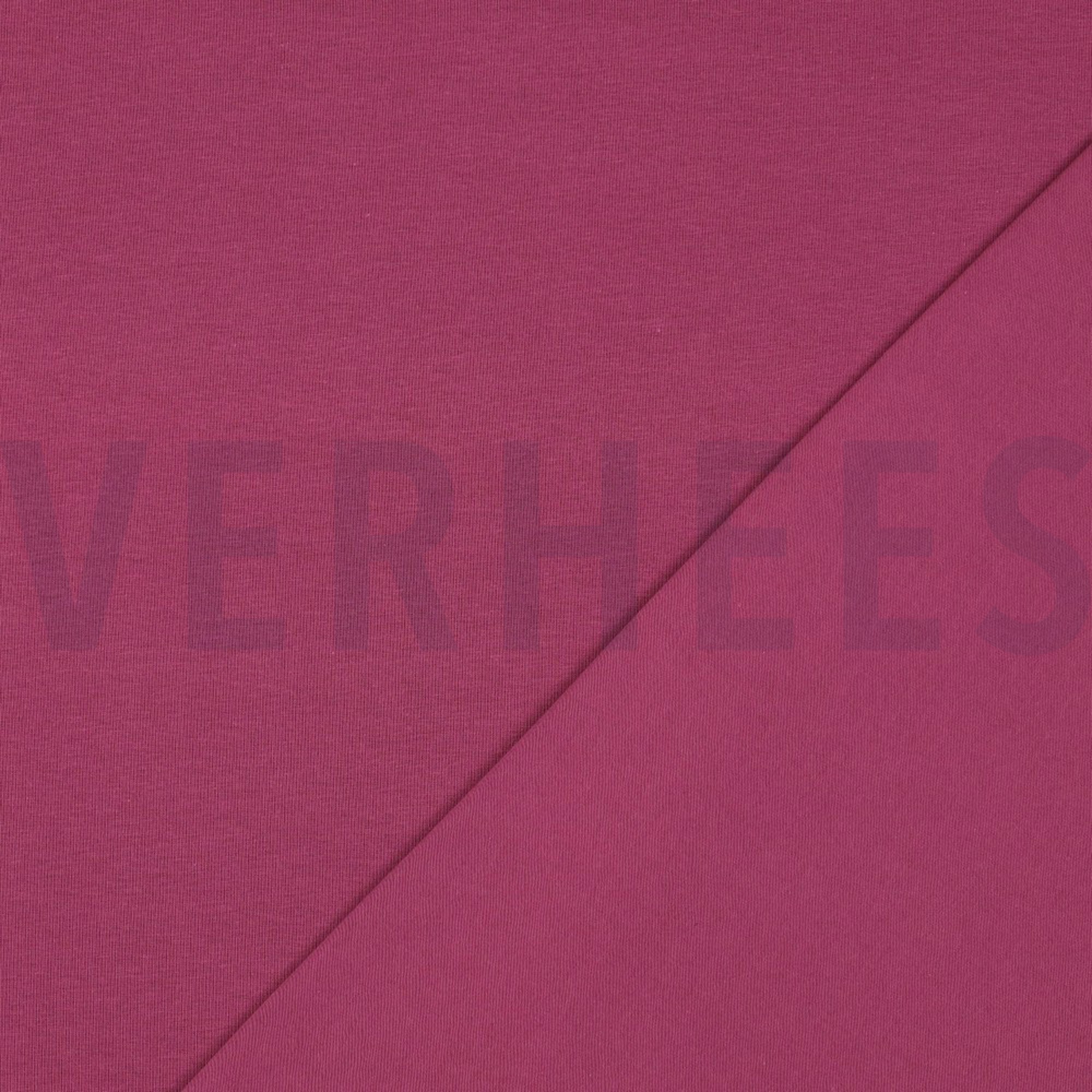 JERSEY GOTS PURPLE (high resolution) #4