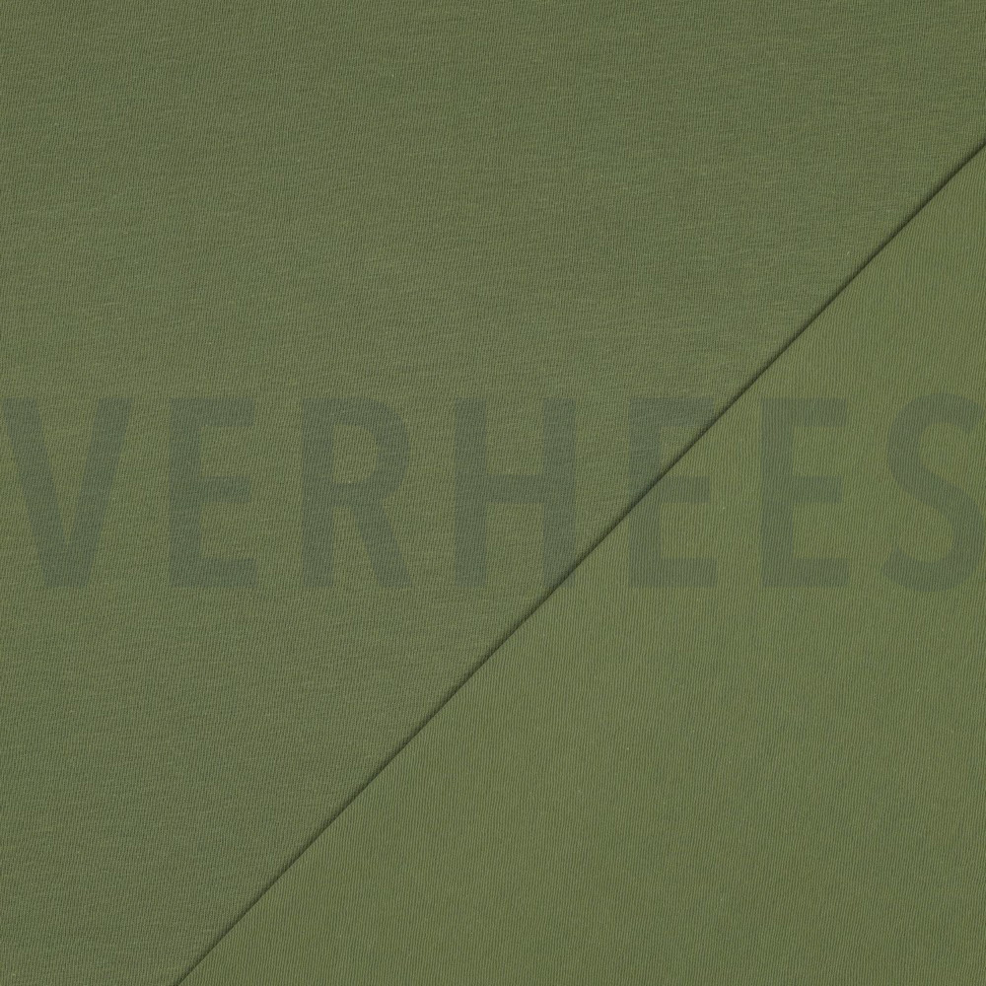 JERSEY GOTS PICKLE (high resolution) #4