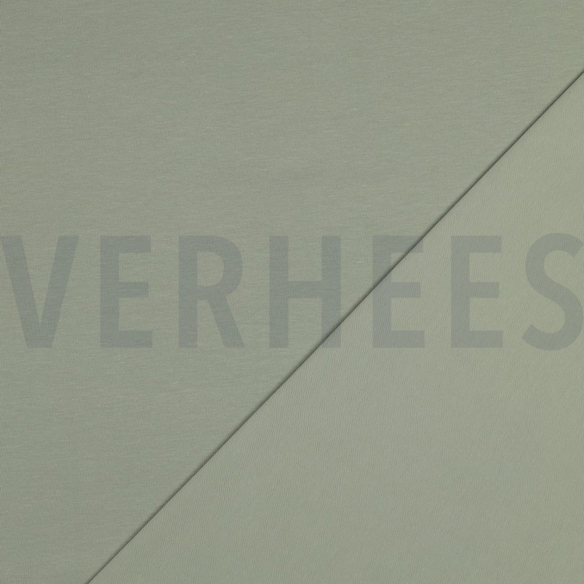 JERSEY GOTS SALIEGROEN (high resolution) #4